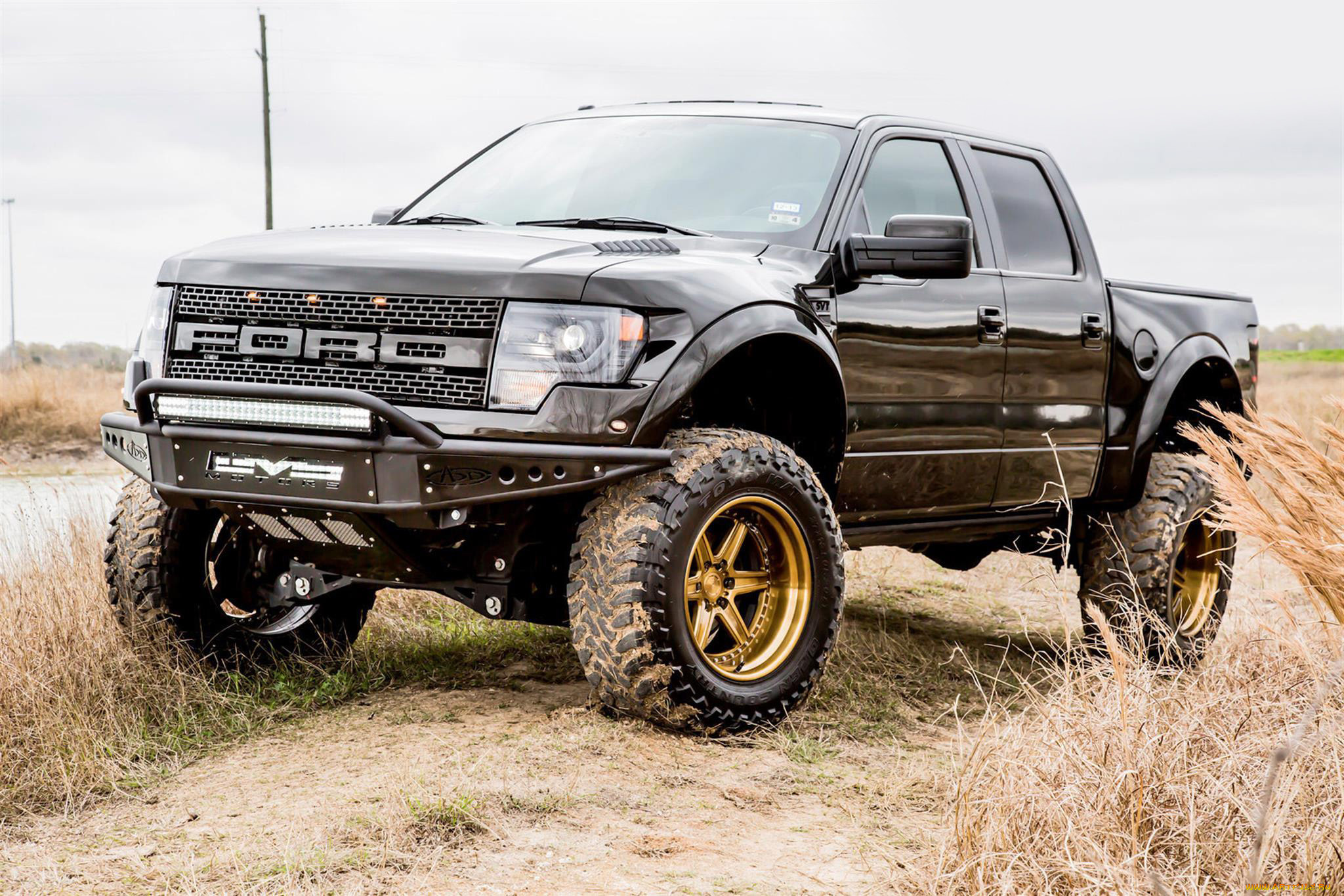 автомобили, custom, pick-up, ford