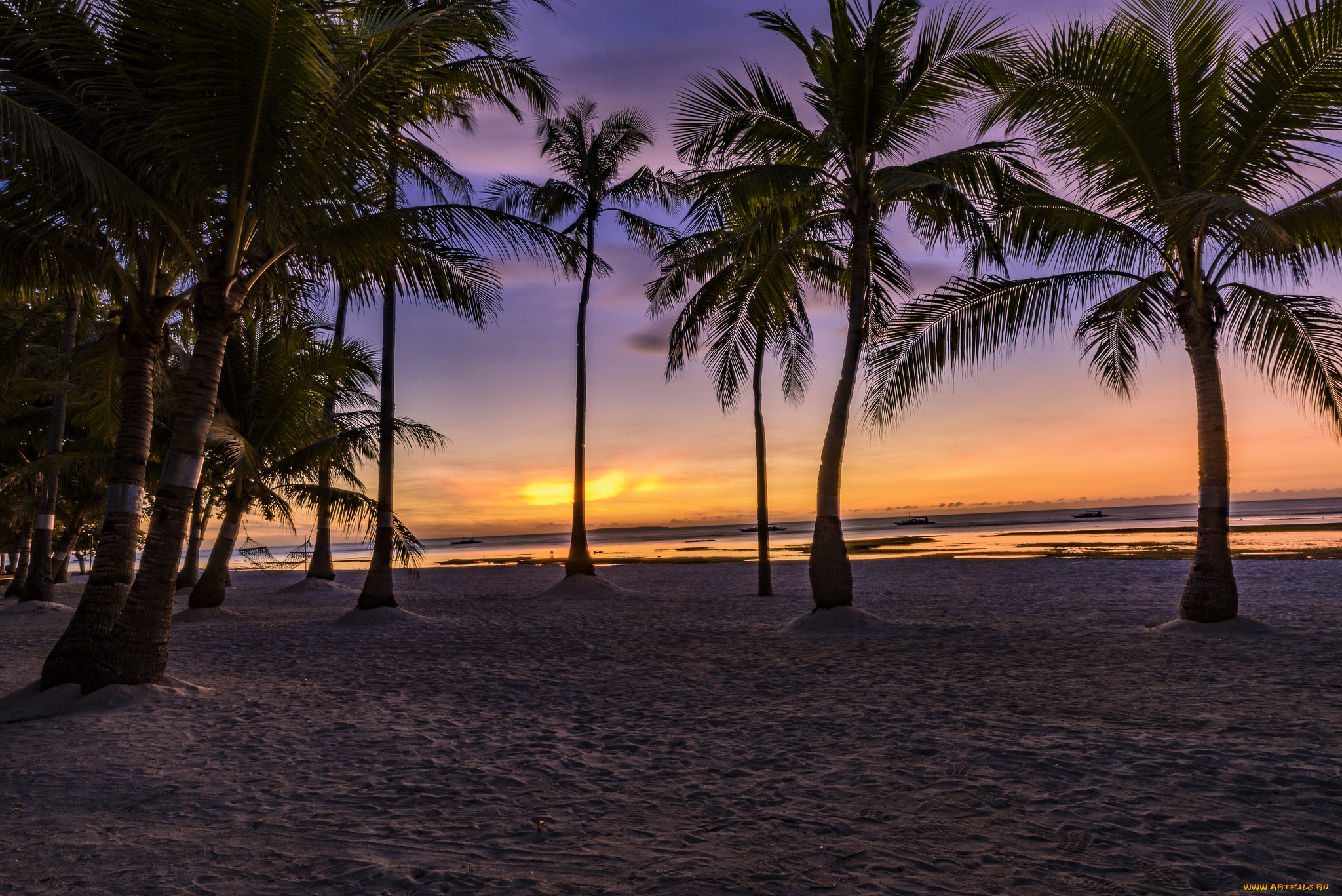 природа, тропики, рассвет