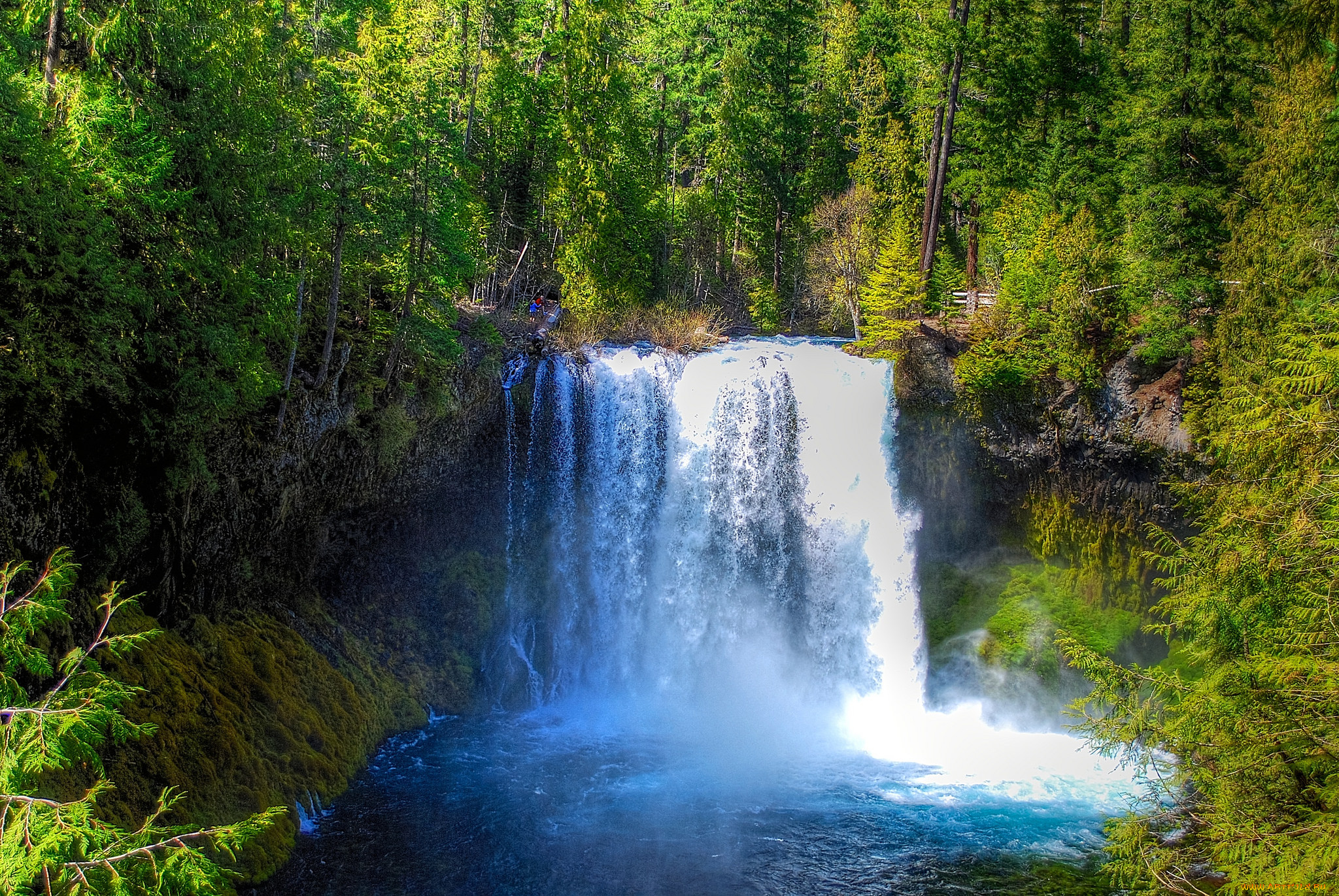 природа, водопады, водопад, река, лес