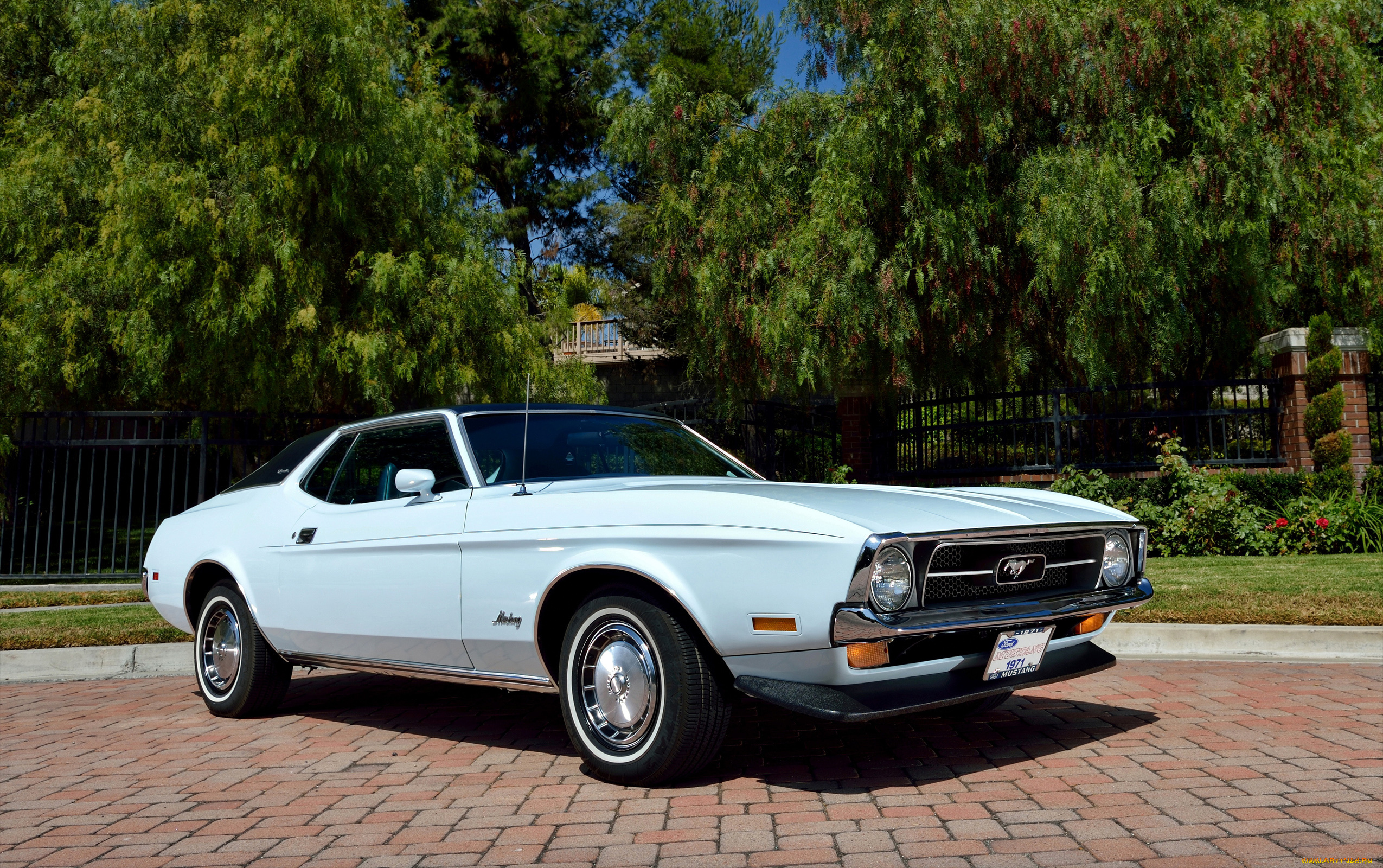 автомобили, mustang