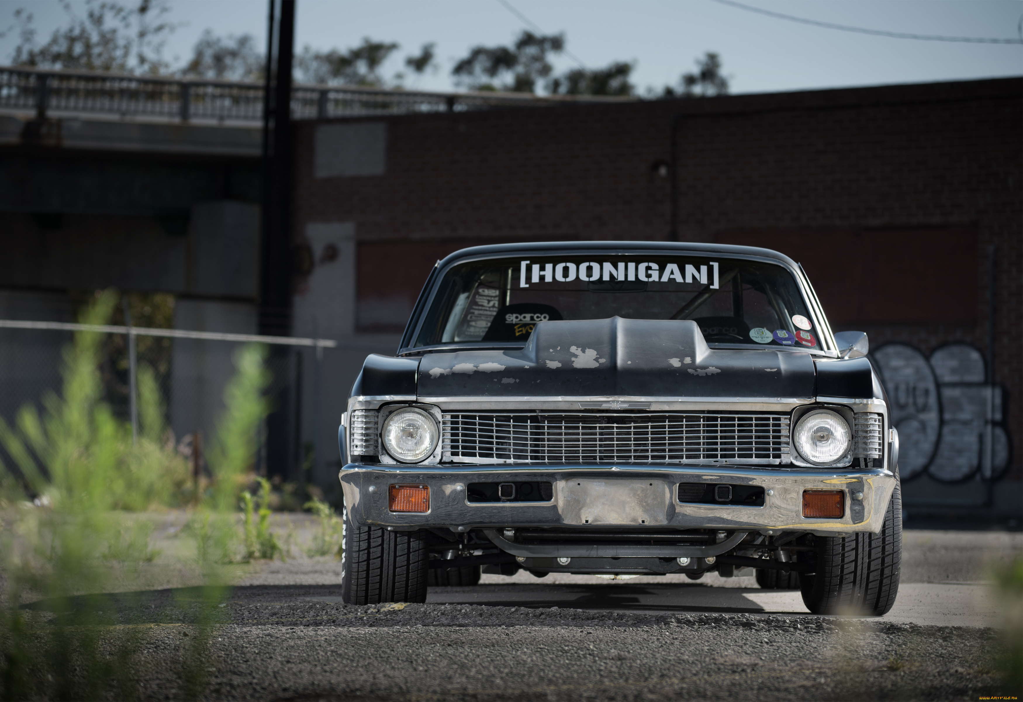 автомобили, chevrolet, nova