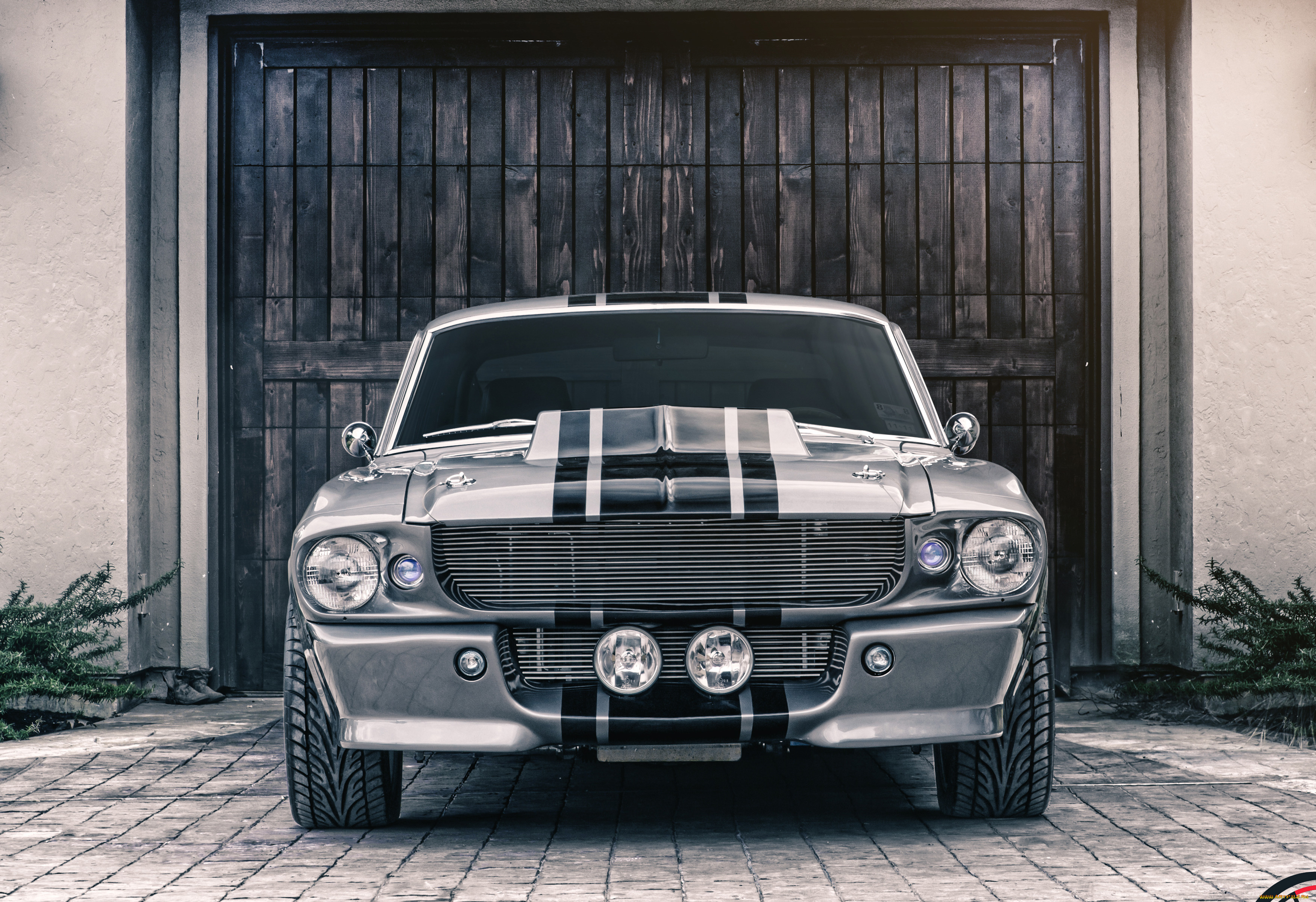 автомобили, mustang