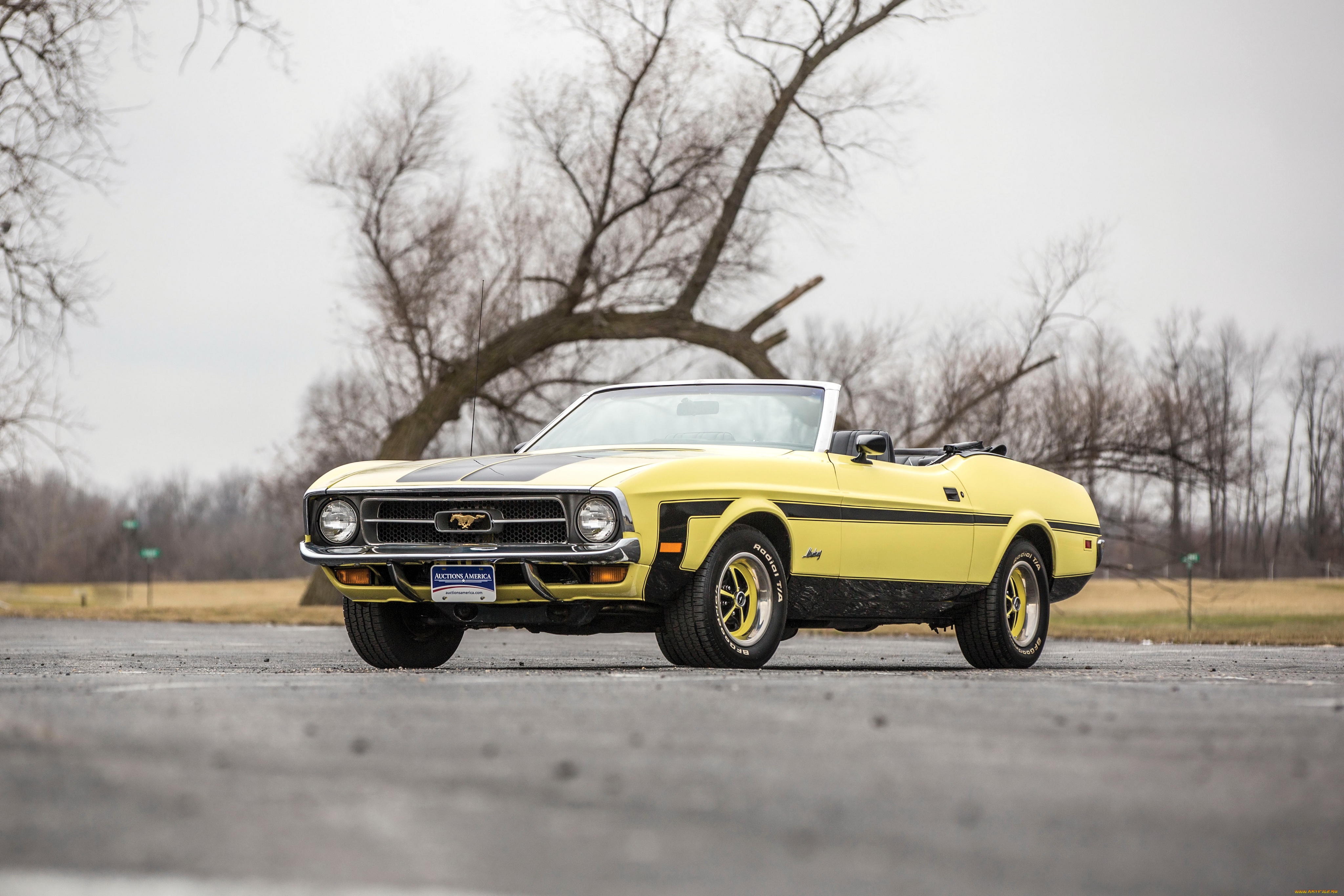 автомобили, mustang