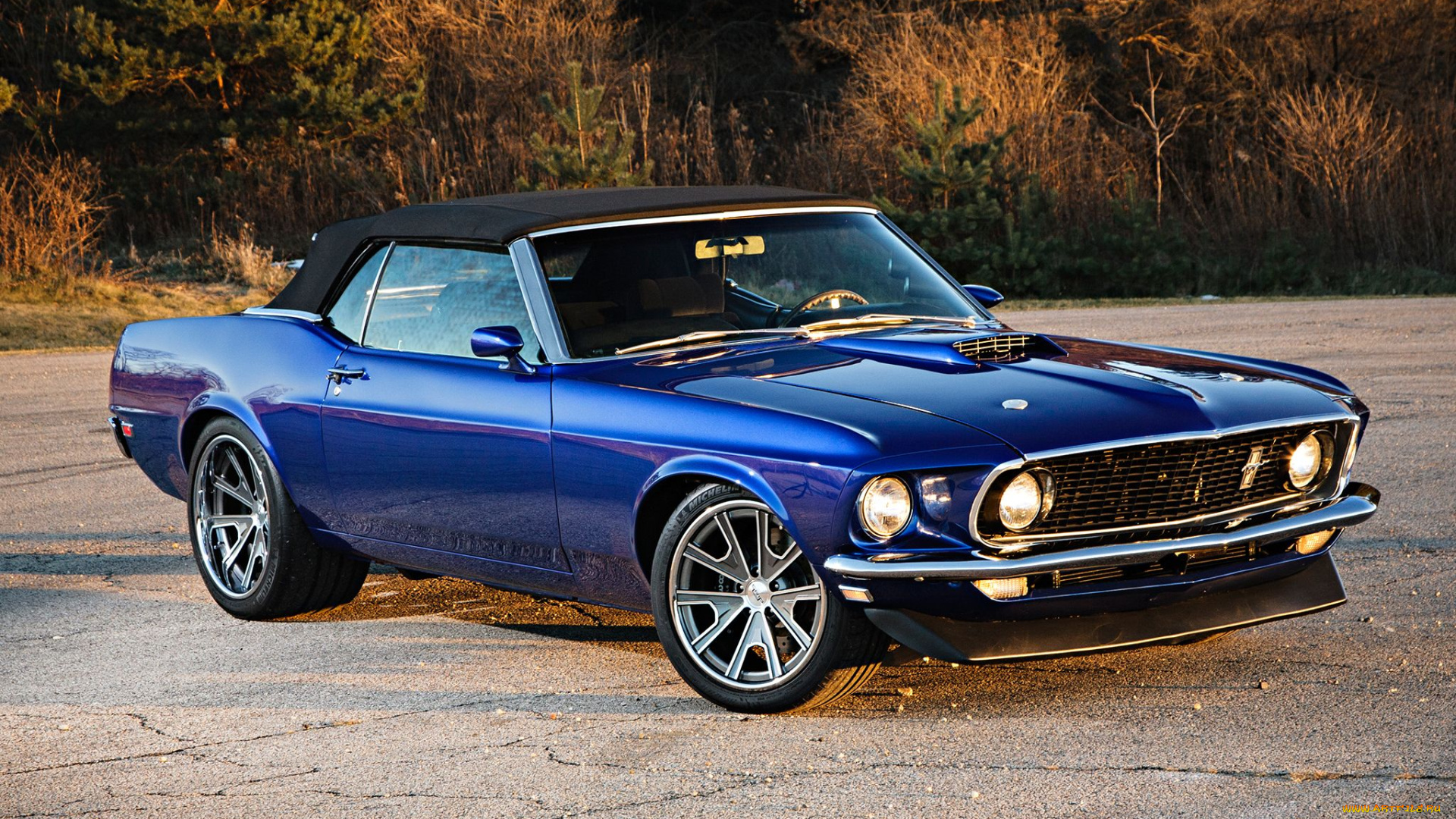 автомобили, mustang