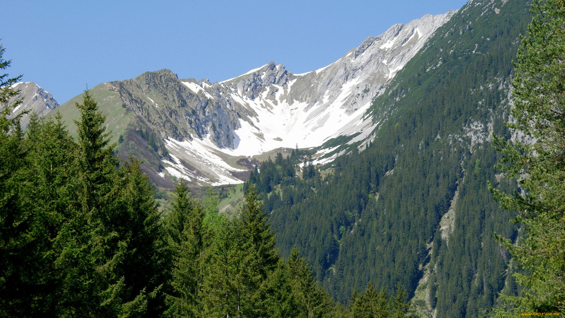 природа, горы, деревья