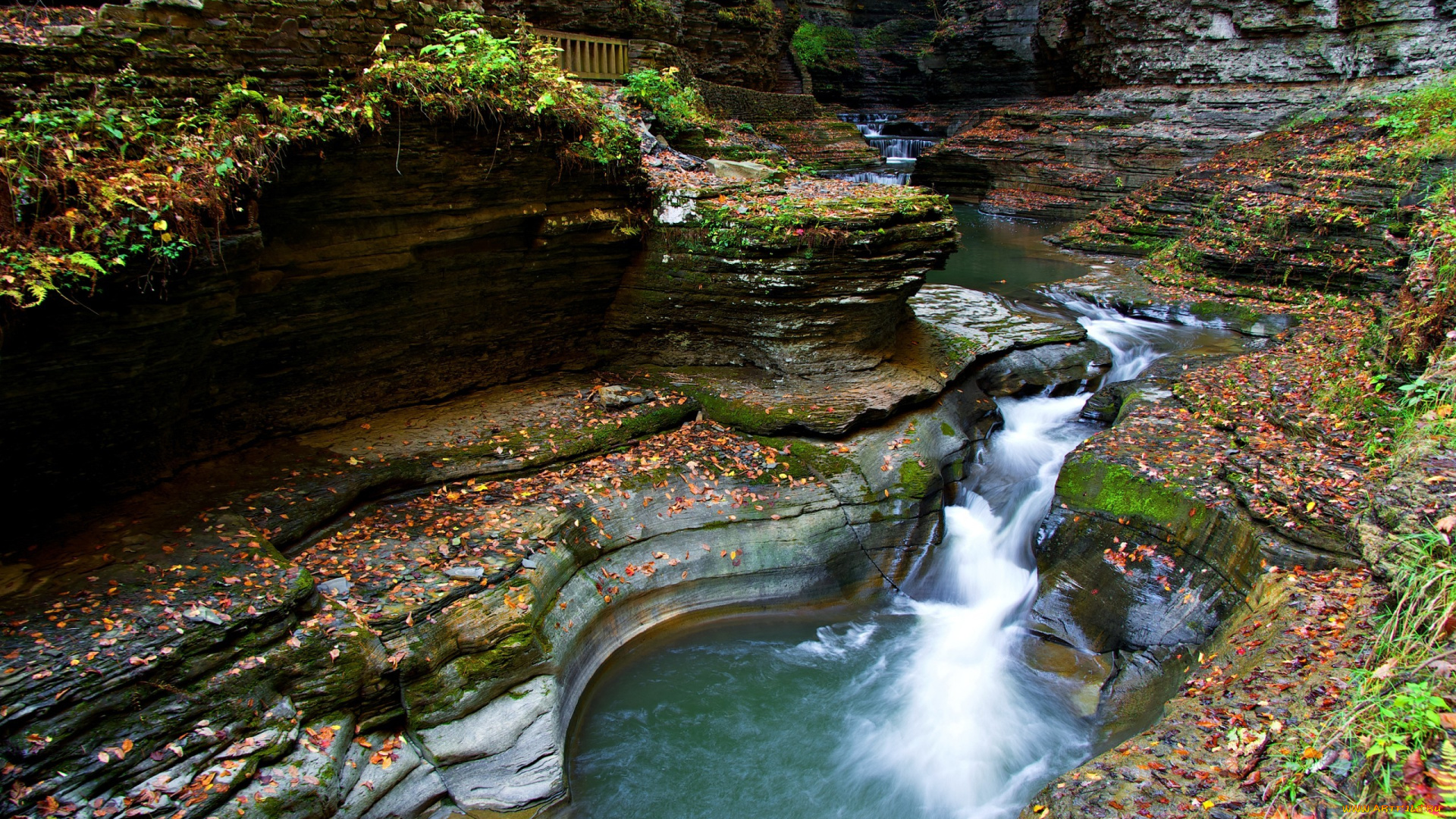 природа, реки, озера, горы, река