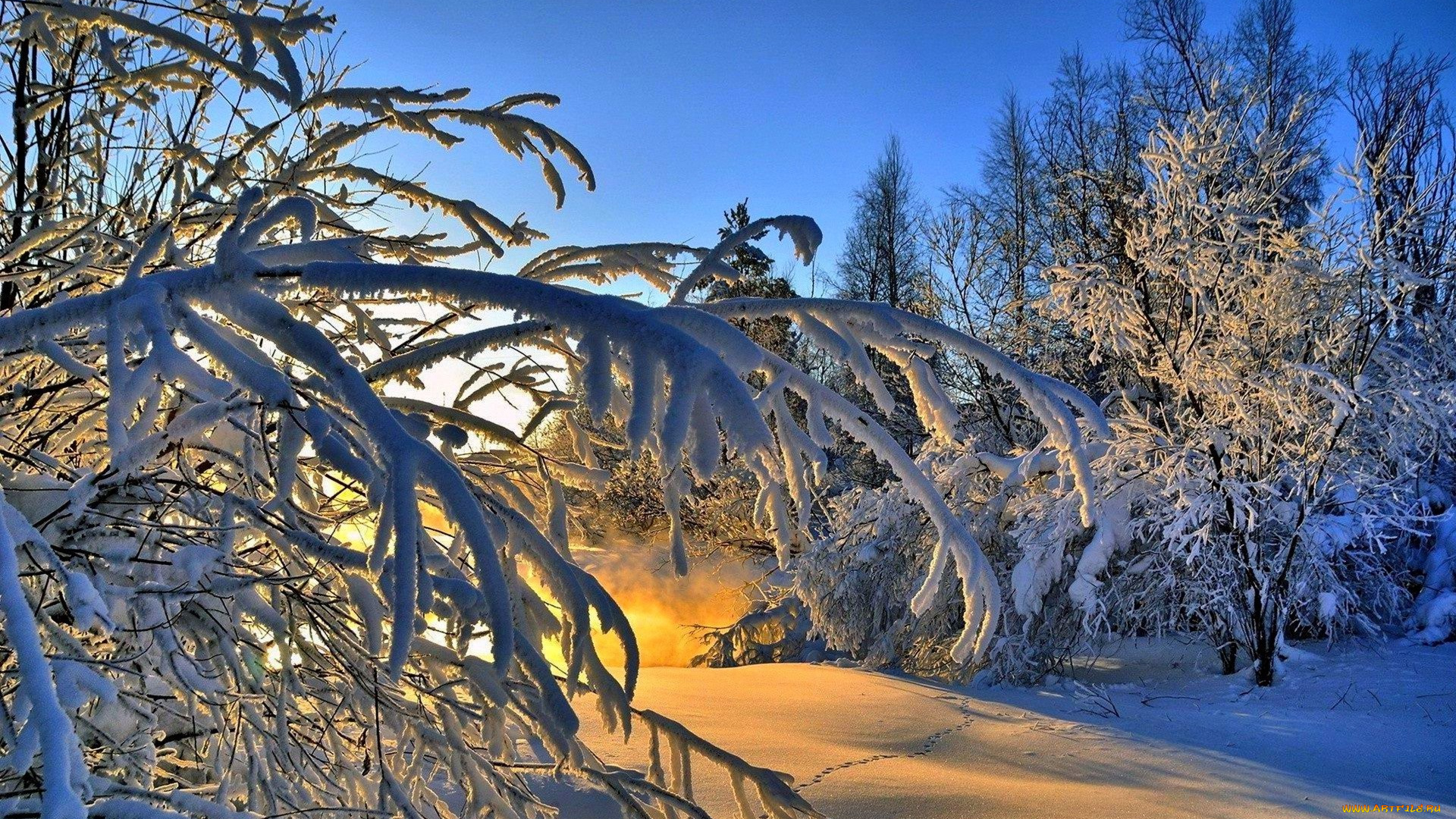 природа, зима, снег, деревья