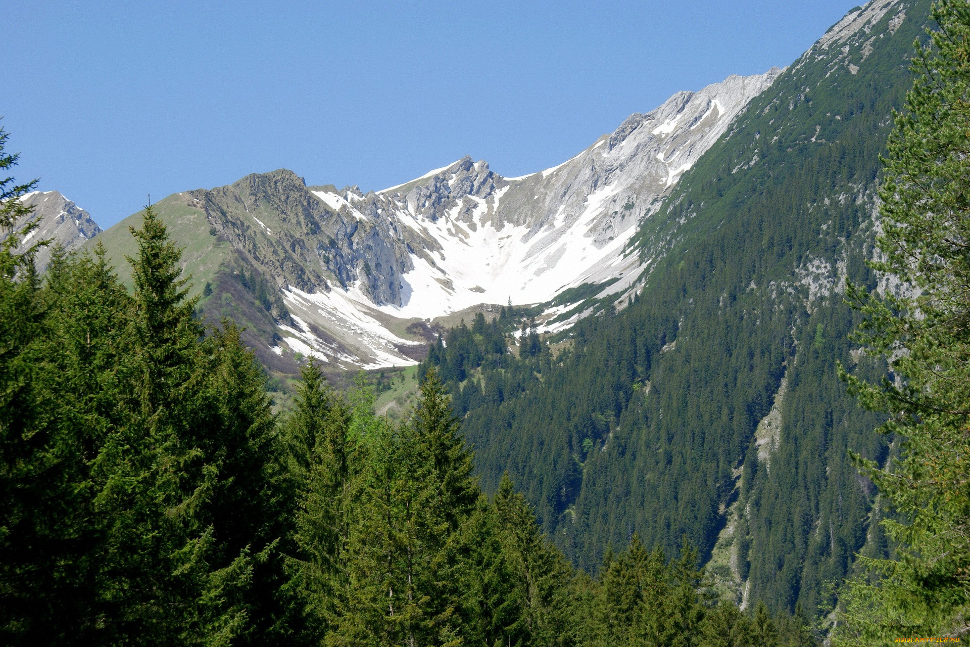 природа, горы, деревья