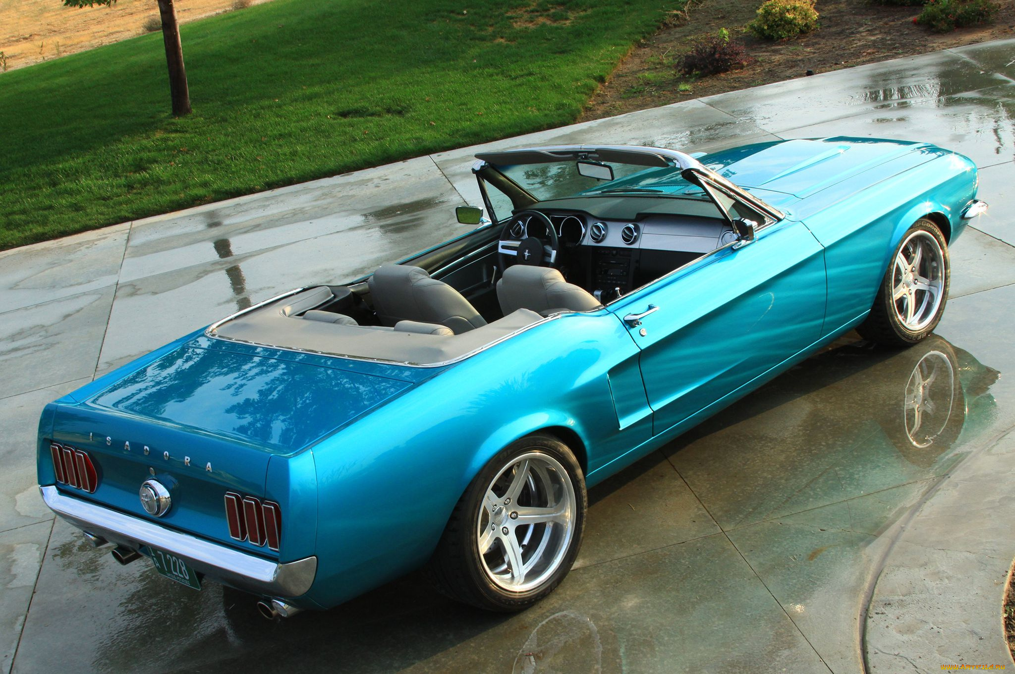 автомобили, mustang