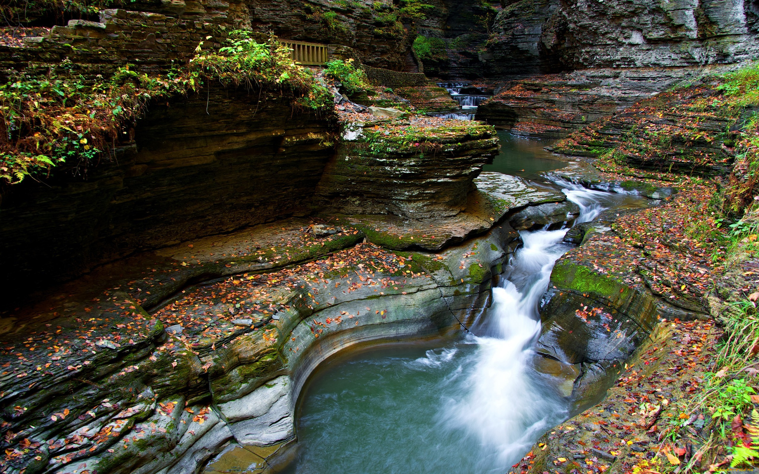 природа, реки, озера, горы, река