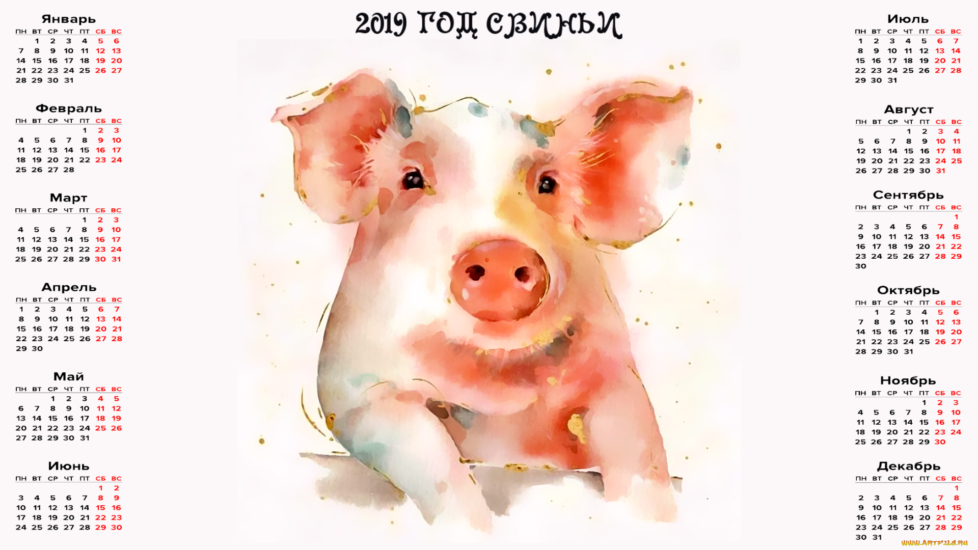 календари, праздники, , салюты, свинья, поросенок