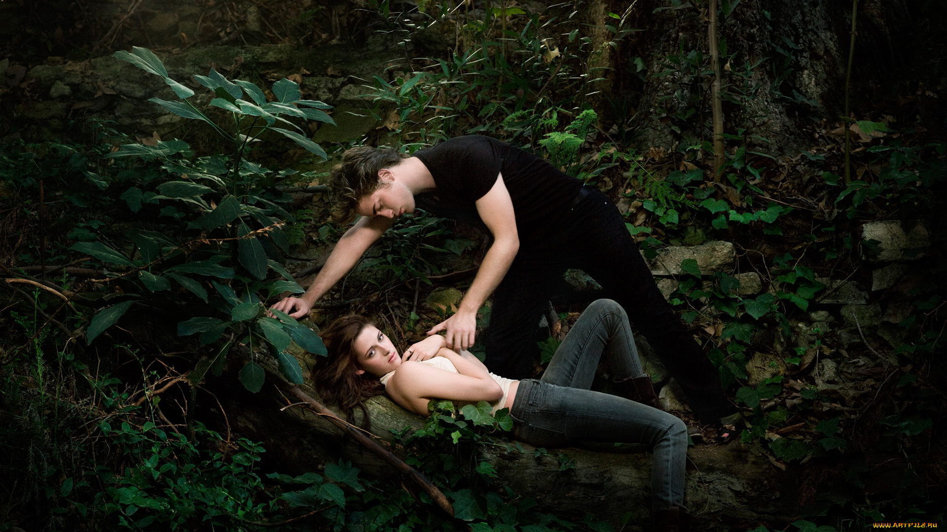 кино, фильмы, the, twilight, сумерки