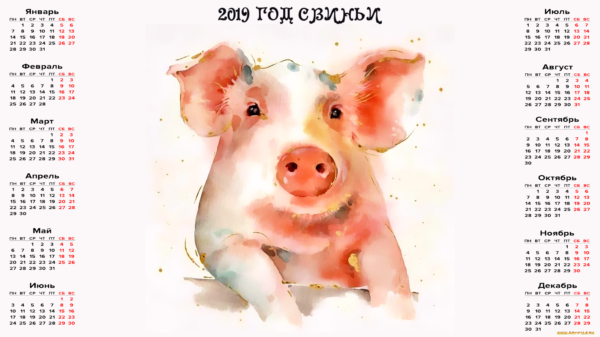 календари, праздники, , салюты, свинья, поросенок