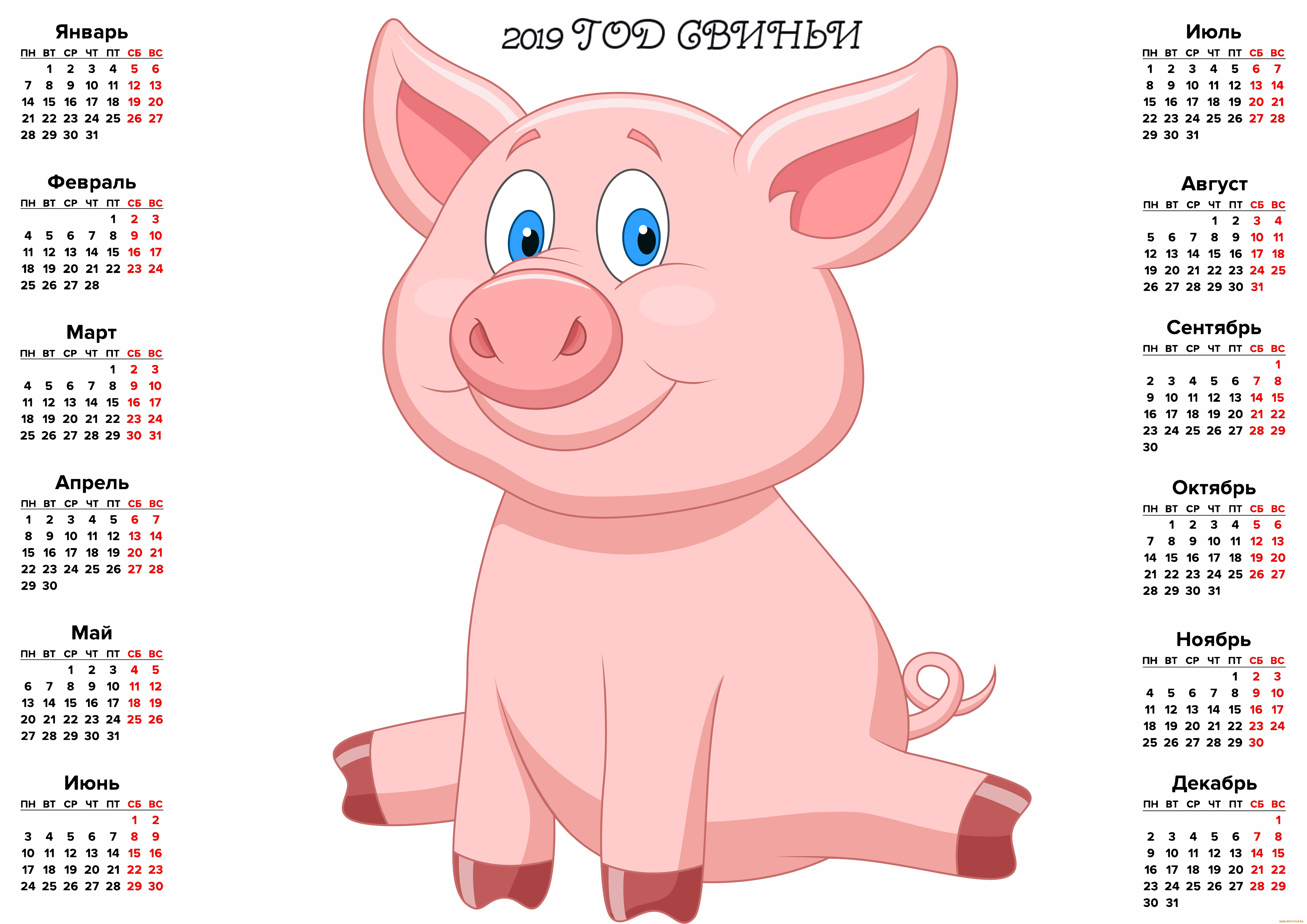календари, праздники, , салюты, свинья, поросенок