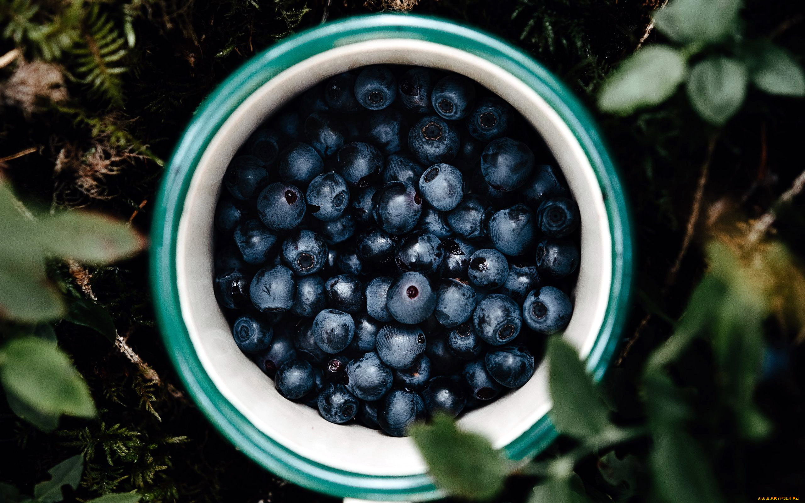 еда, голубика, , черника, черника