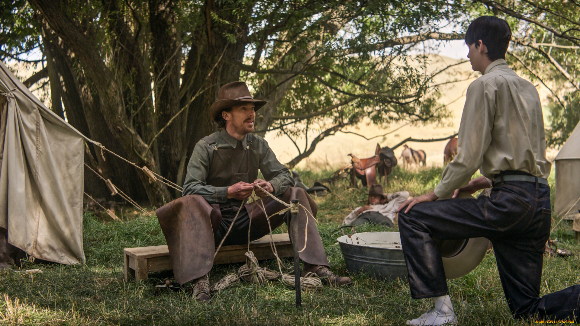 the, power, of, the, dog, , , 2021, , кино, фильмы, -unknown, , другое, бенедикт, камбербэтч, kodi, smit, mcphee, the, power, of, dog, власть, пса, драма, мелодрама, вестерн