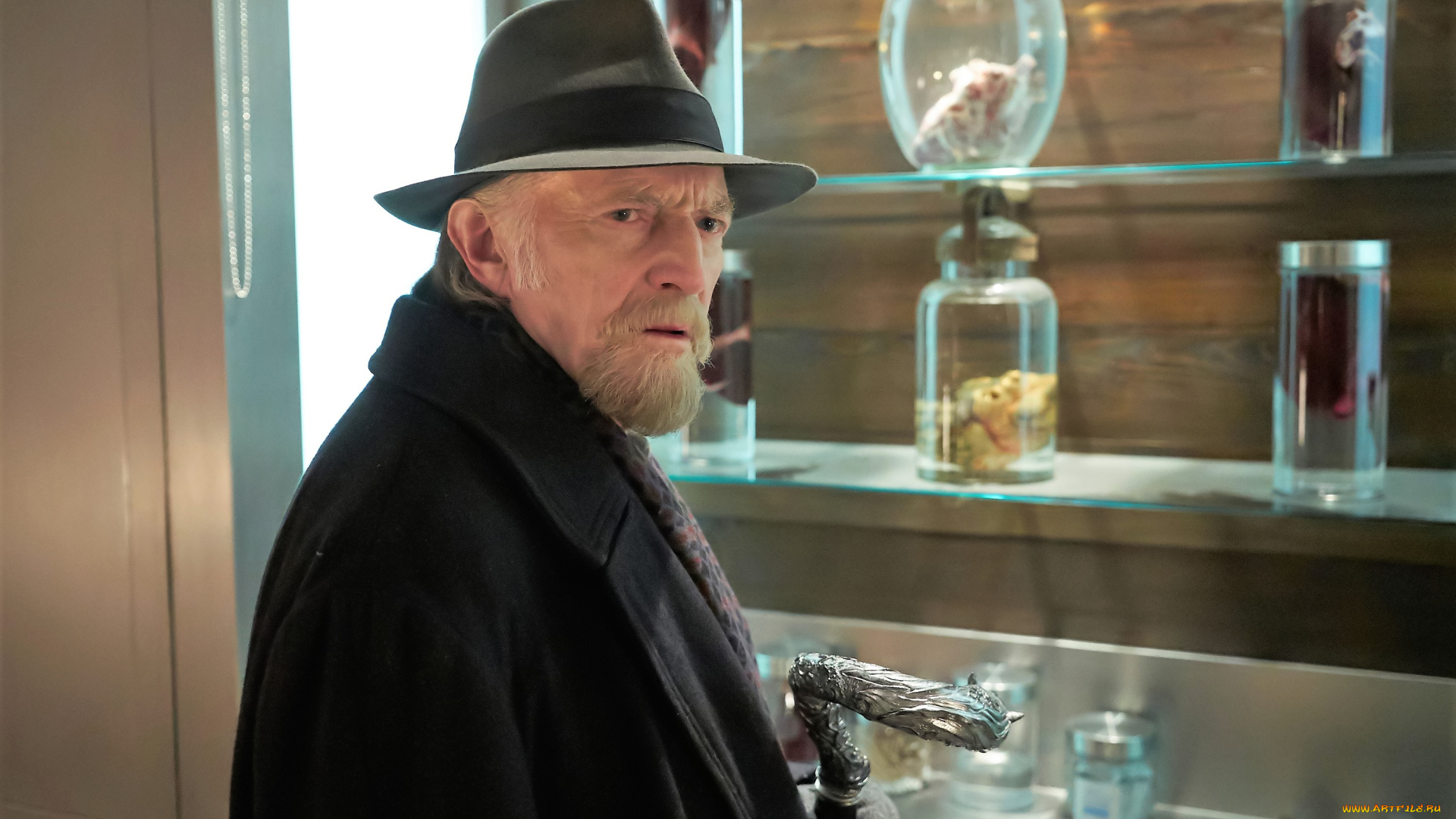 кино, фильмы, the, strain, профессор, полки