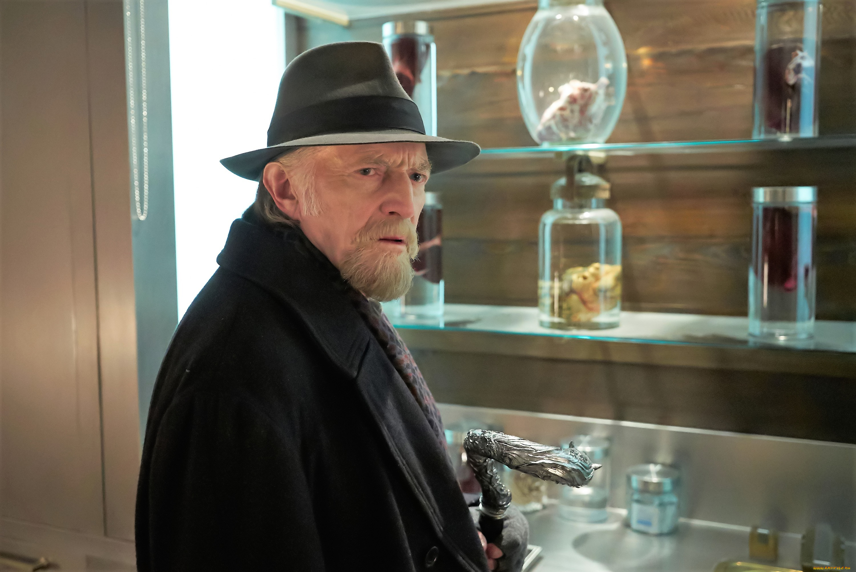 кино, фильмы, the, strain, профессор, полки