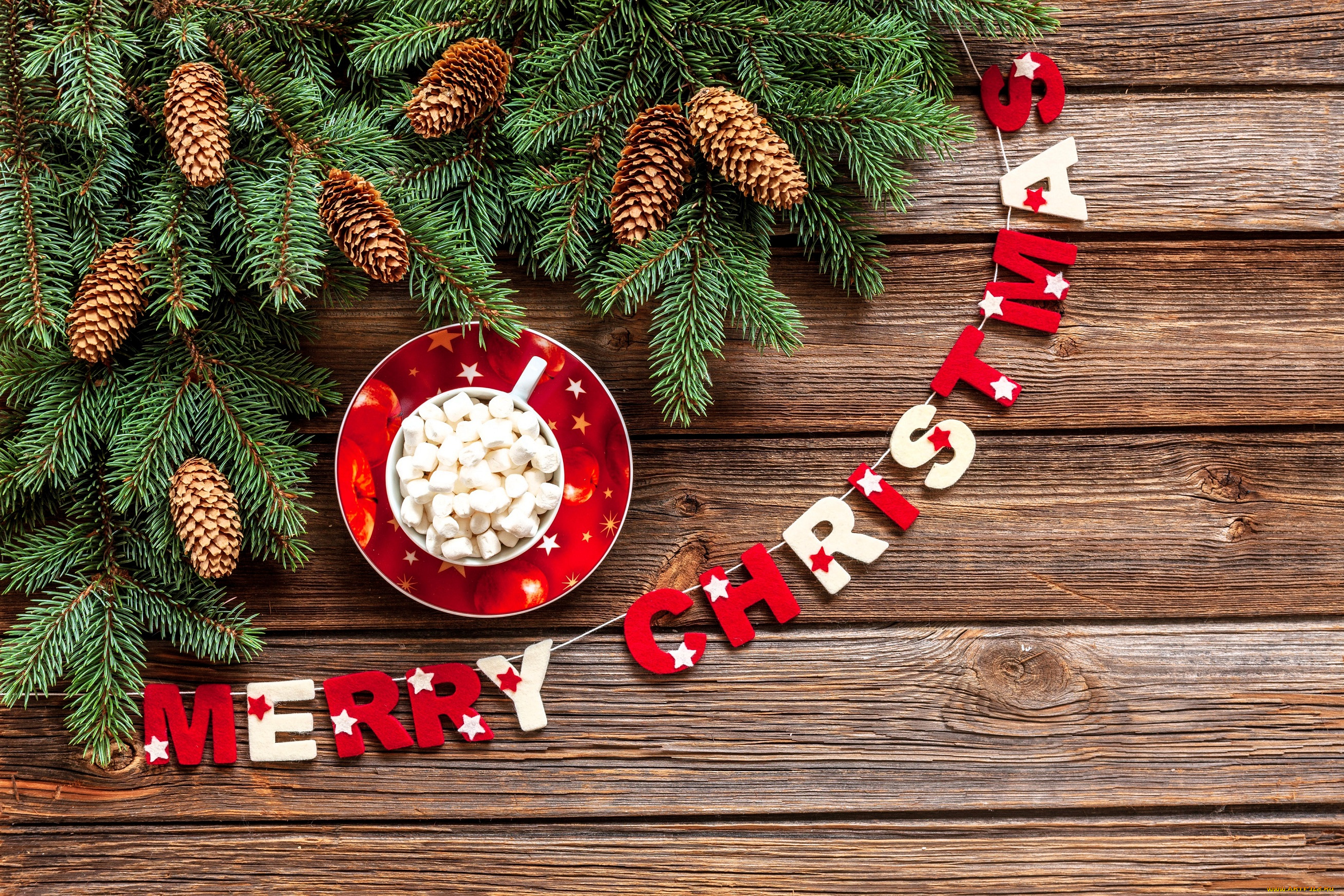 праздничные, ёлки, ёлка, ветки, шишки, блюдце, чашка, сахар