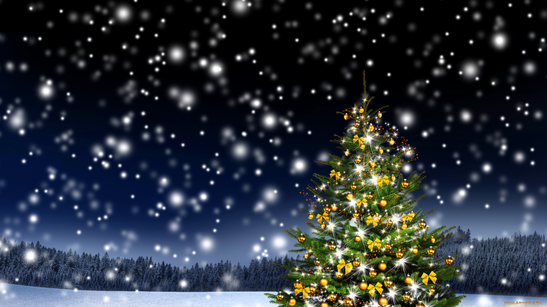 праздничные, ёлки, ёлка, огни, снег, лес