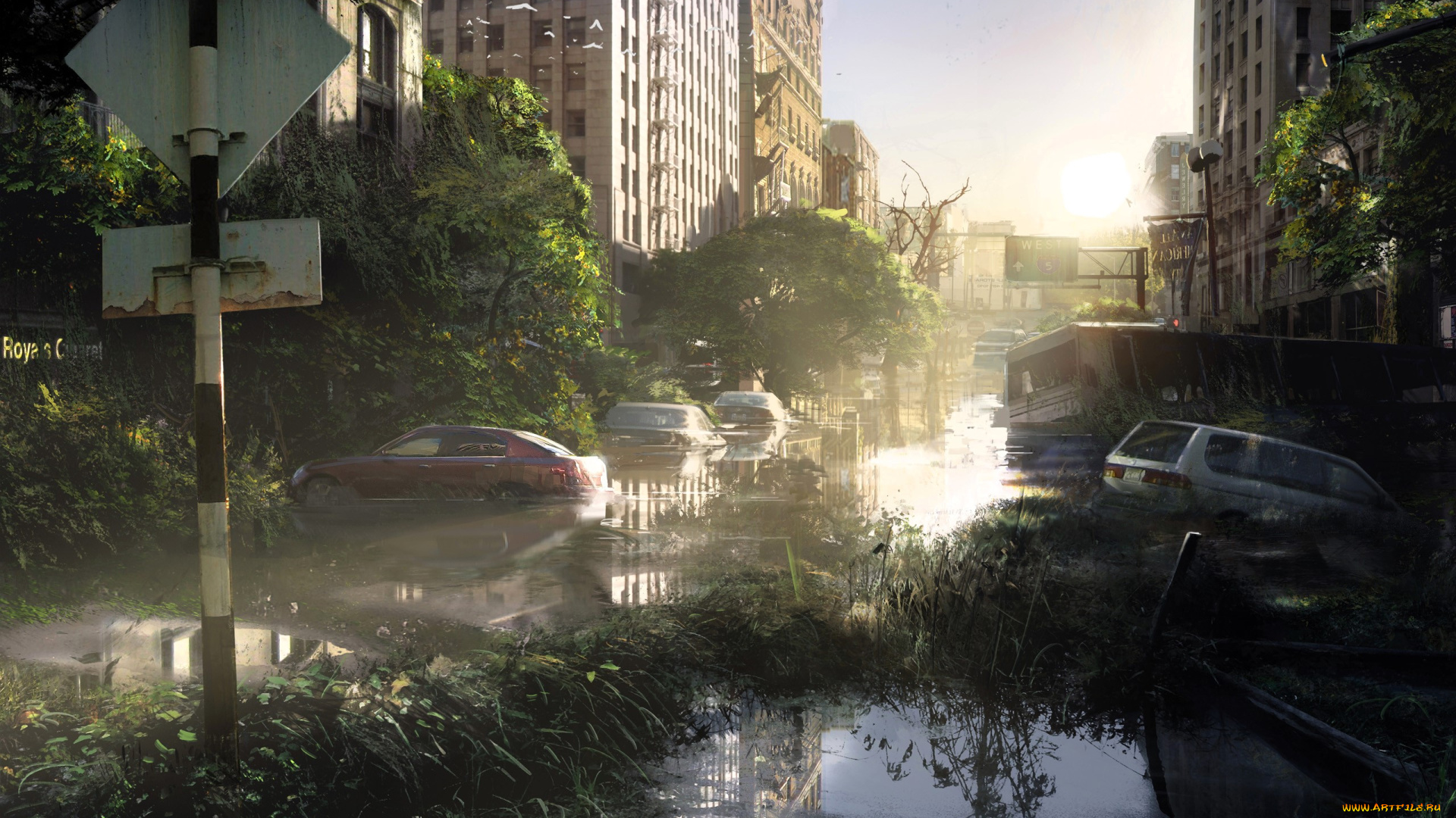 видео, игры, the, last, of, us, город, развалины, лужи, машины, деревья