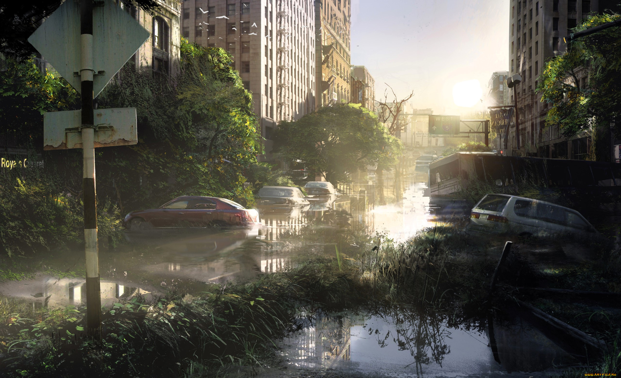 видео, игры, the, last, of, us, город, развалины, лужи, машины, деревья