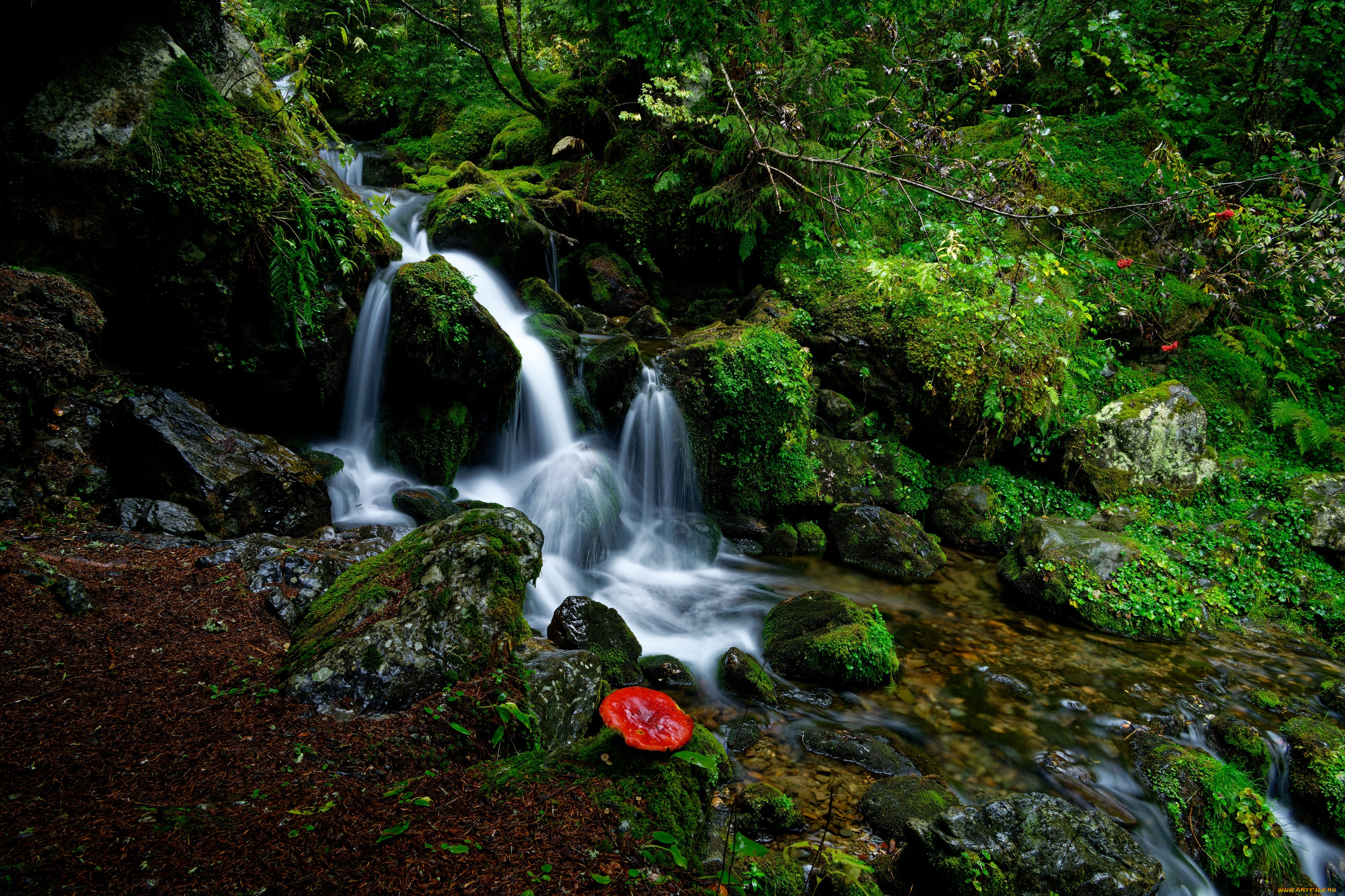 природа, водопады, пейзаж