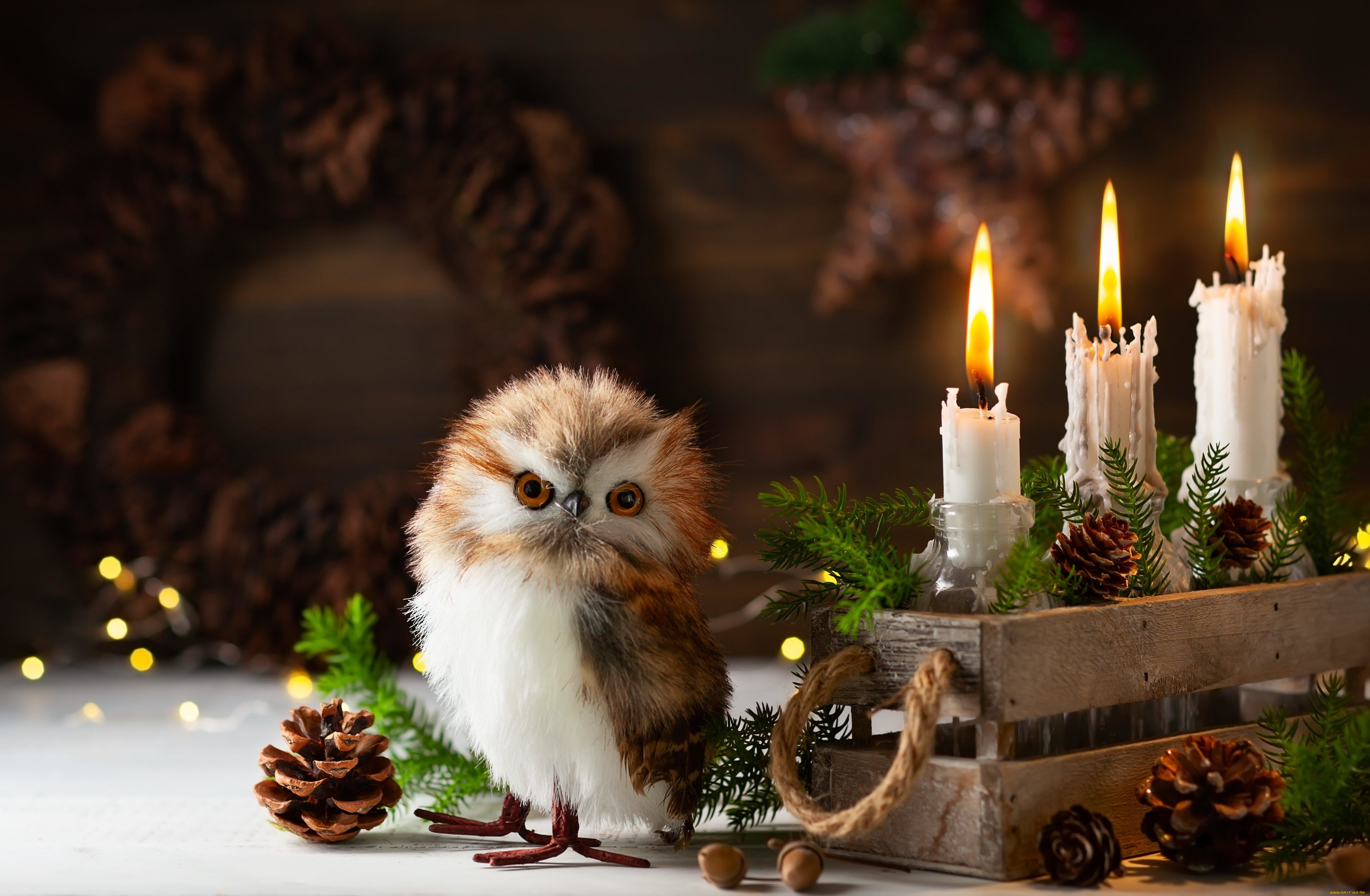 праздничные, новогодние, свечи, новогодняя