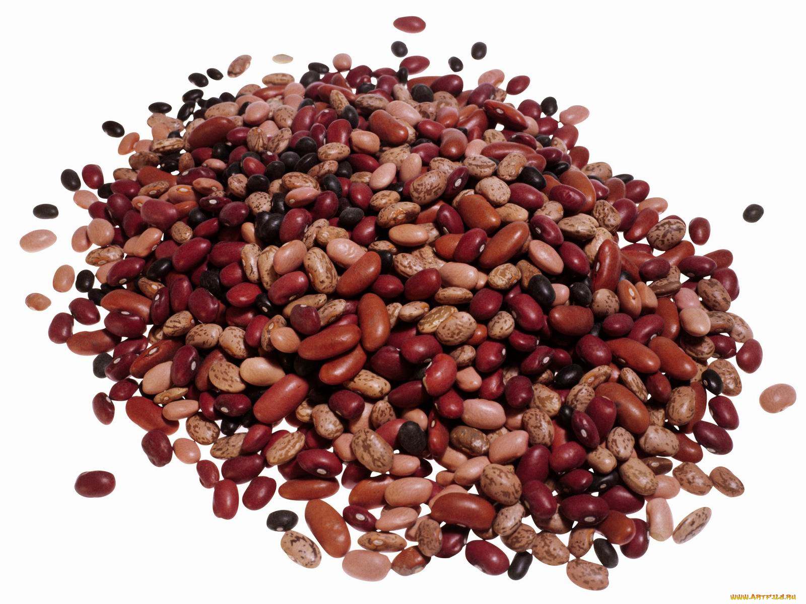 еда, крупы, зерно, специи, семечки