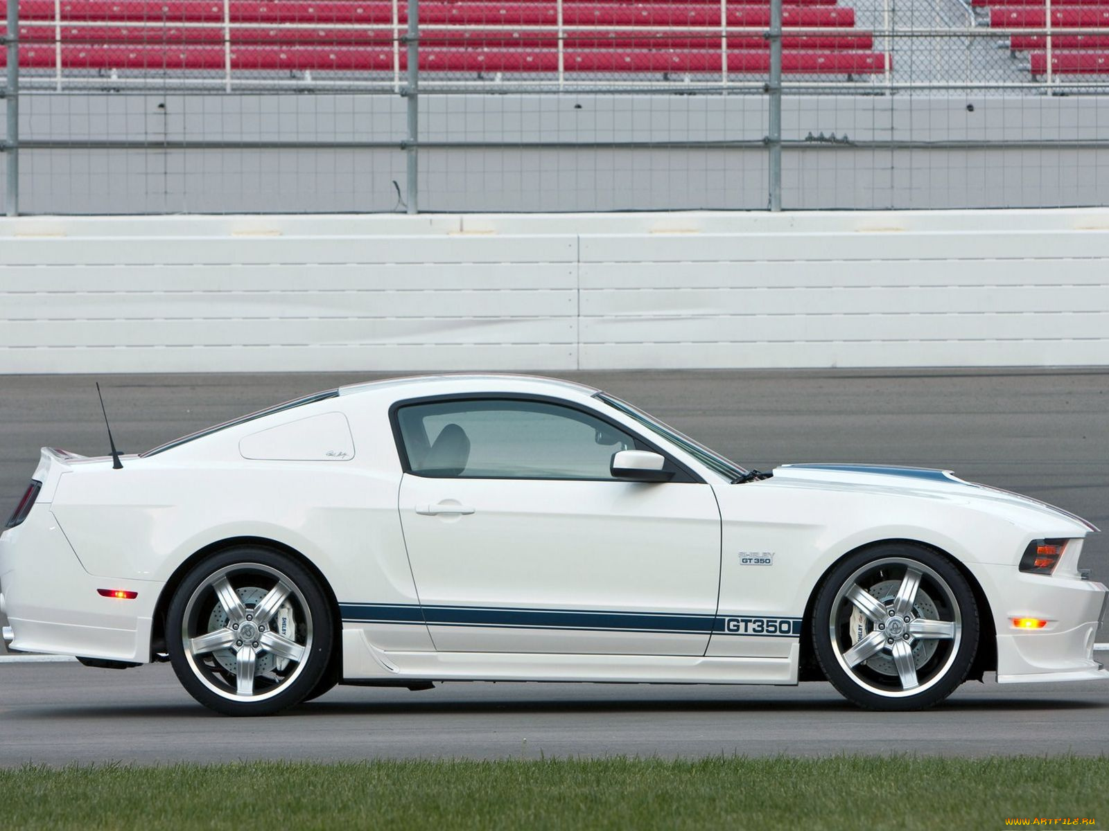 автомобили, mustang