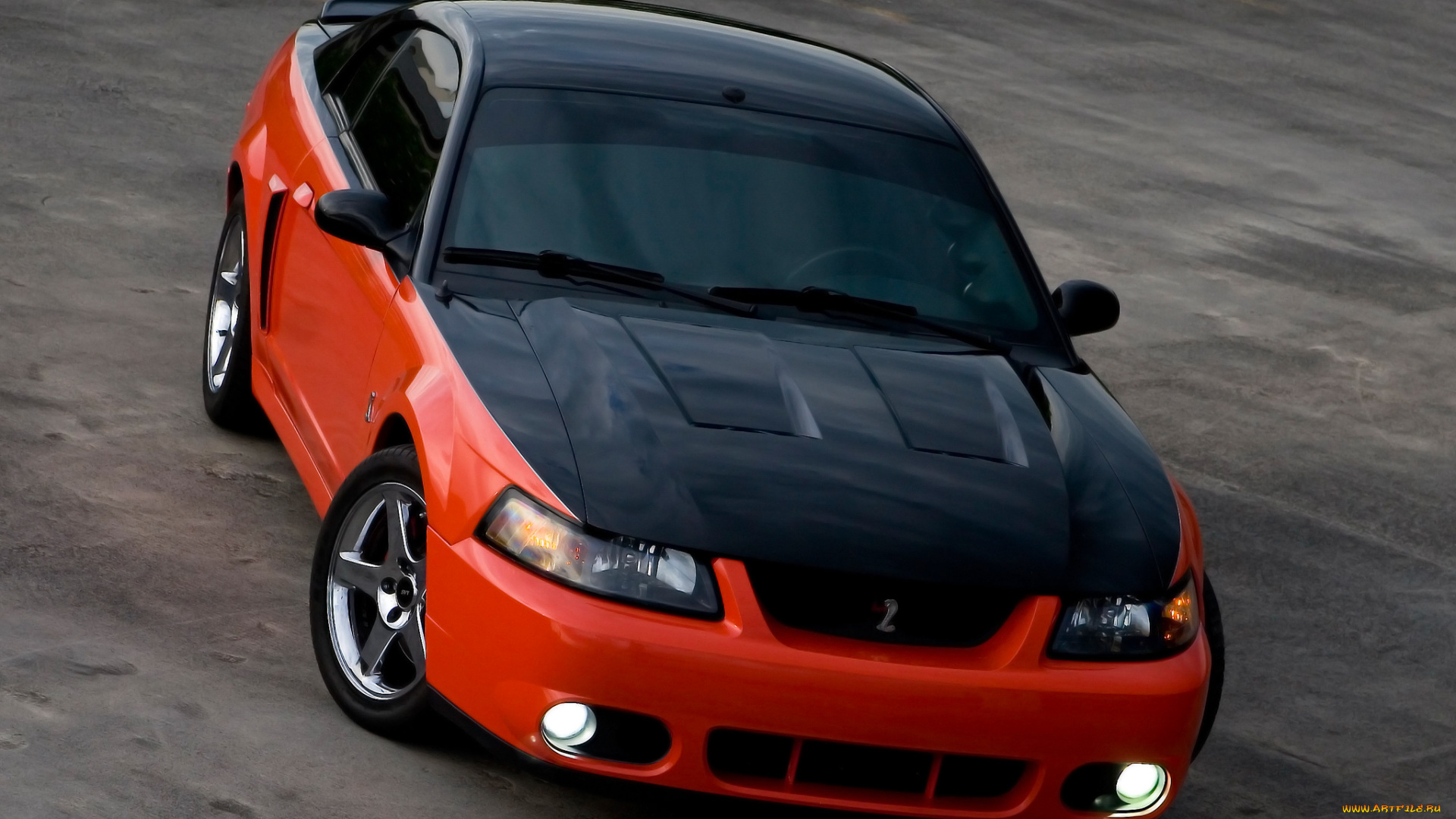 автомобили, mustang