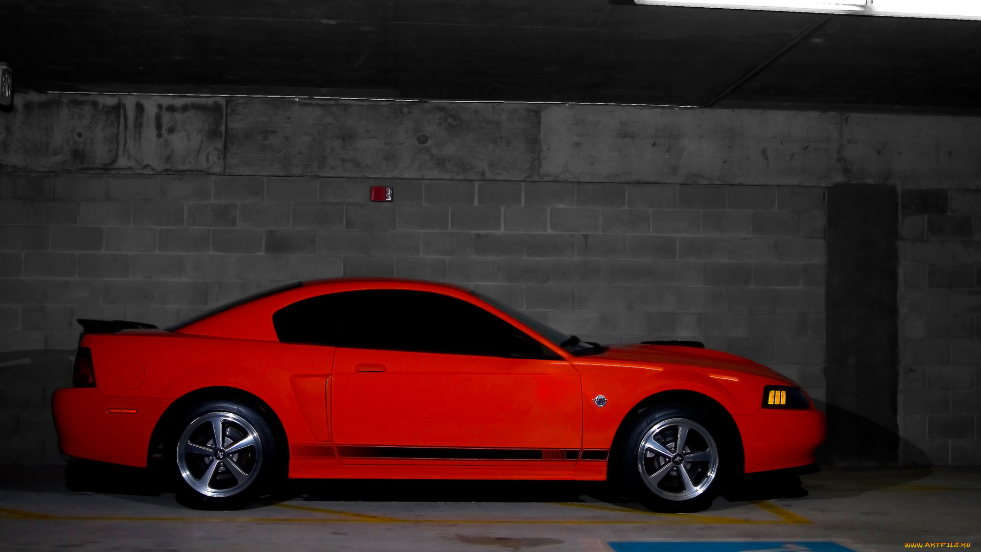 автомобили, mustang