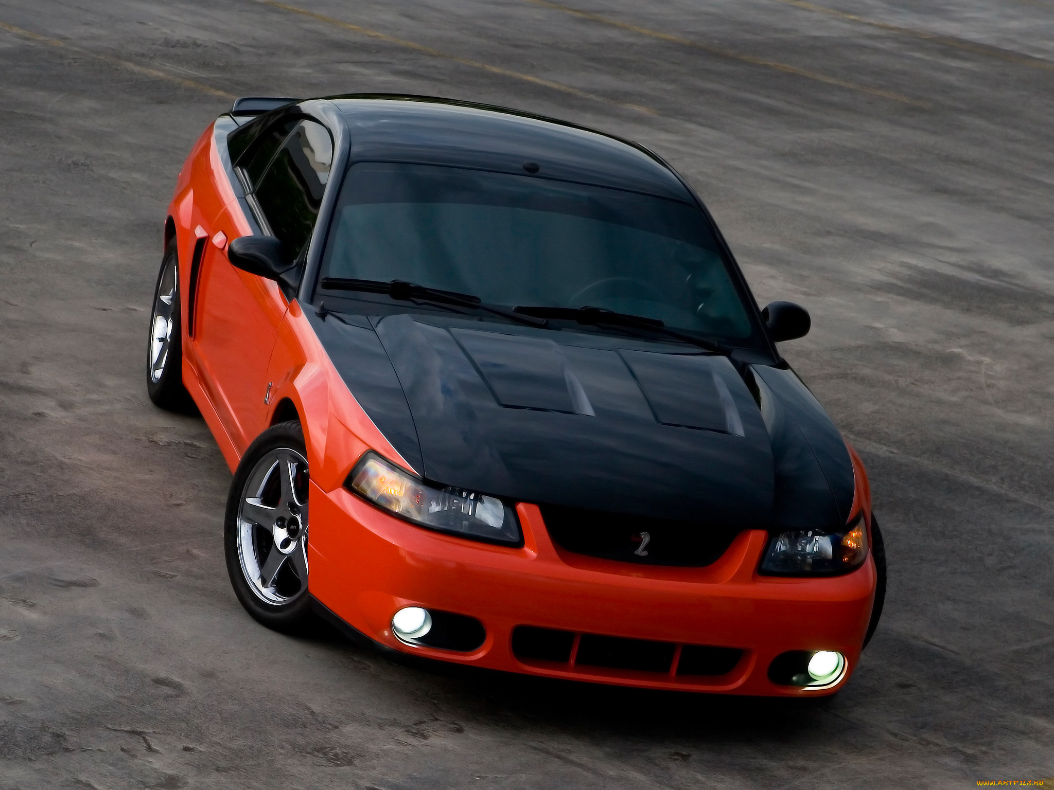 автомобили, mustang