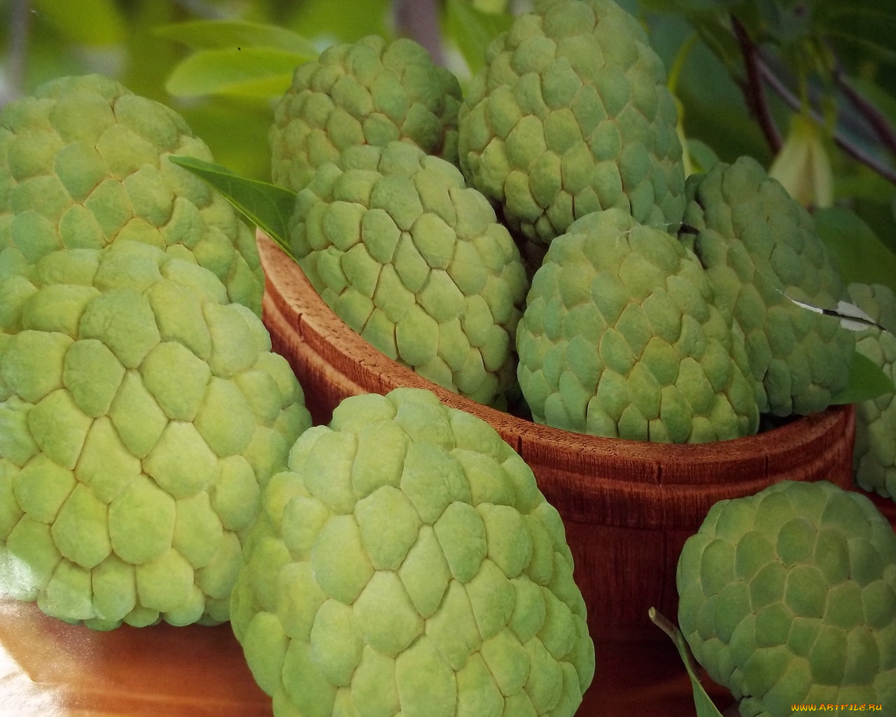 рисованные, еда