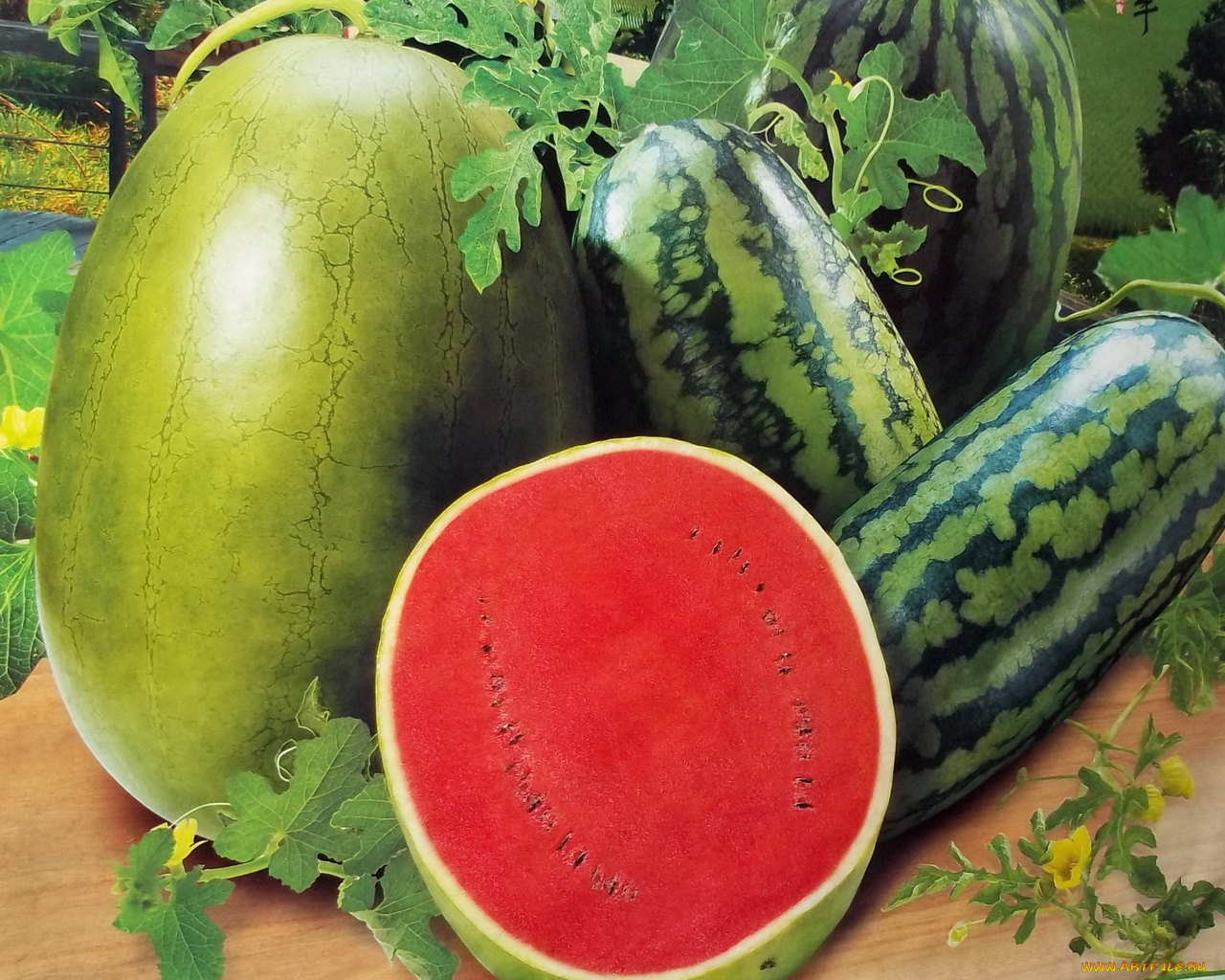 рисованные, еда