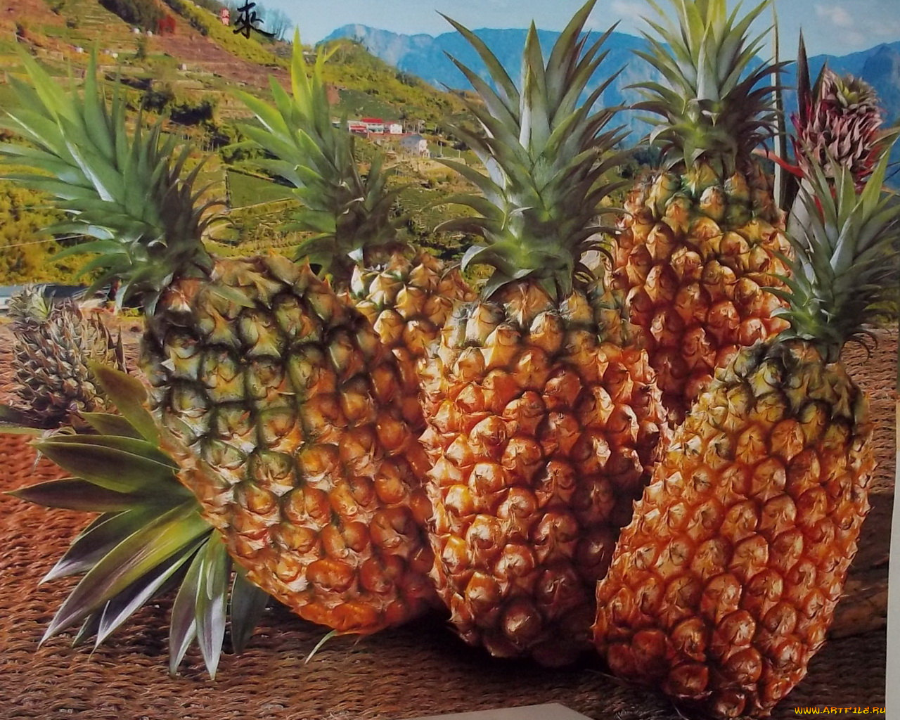 рисованные, еда