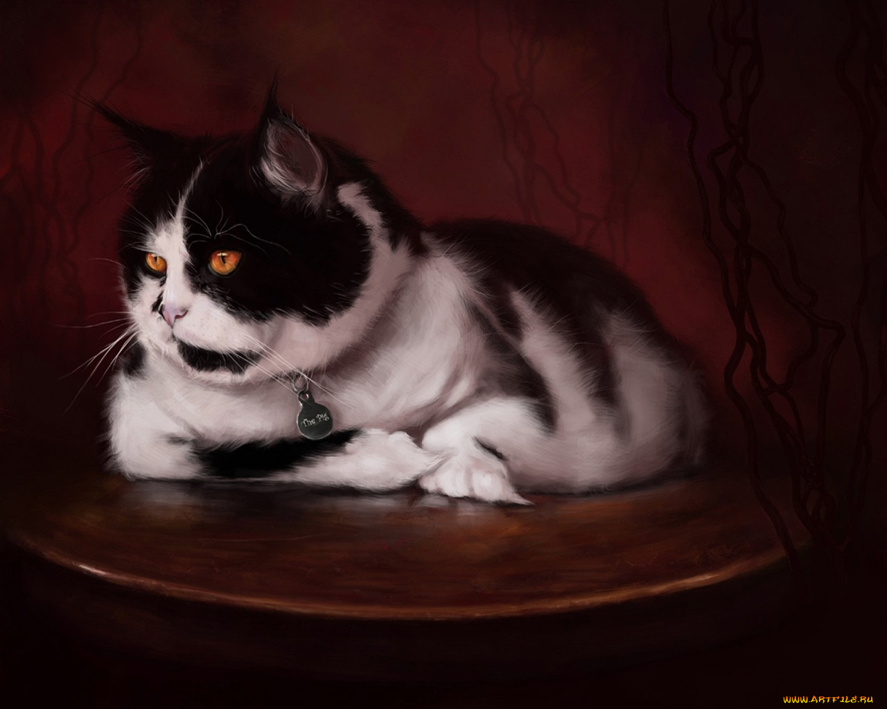 рисованные, животные, коты