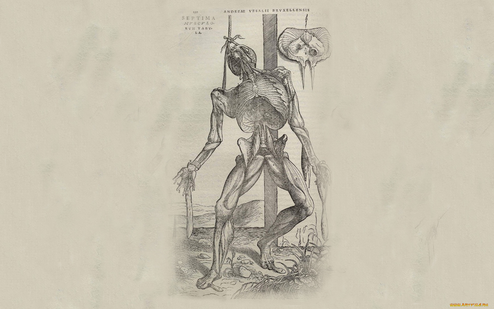 рисованные