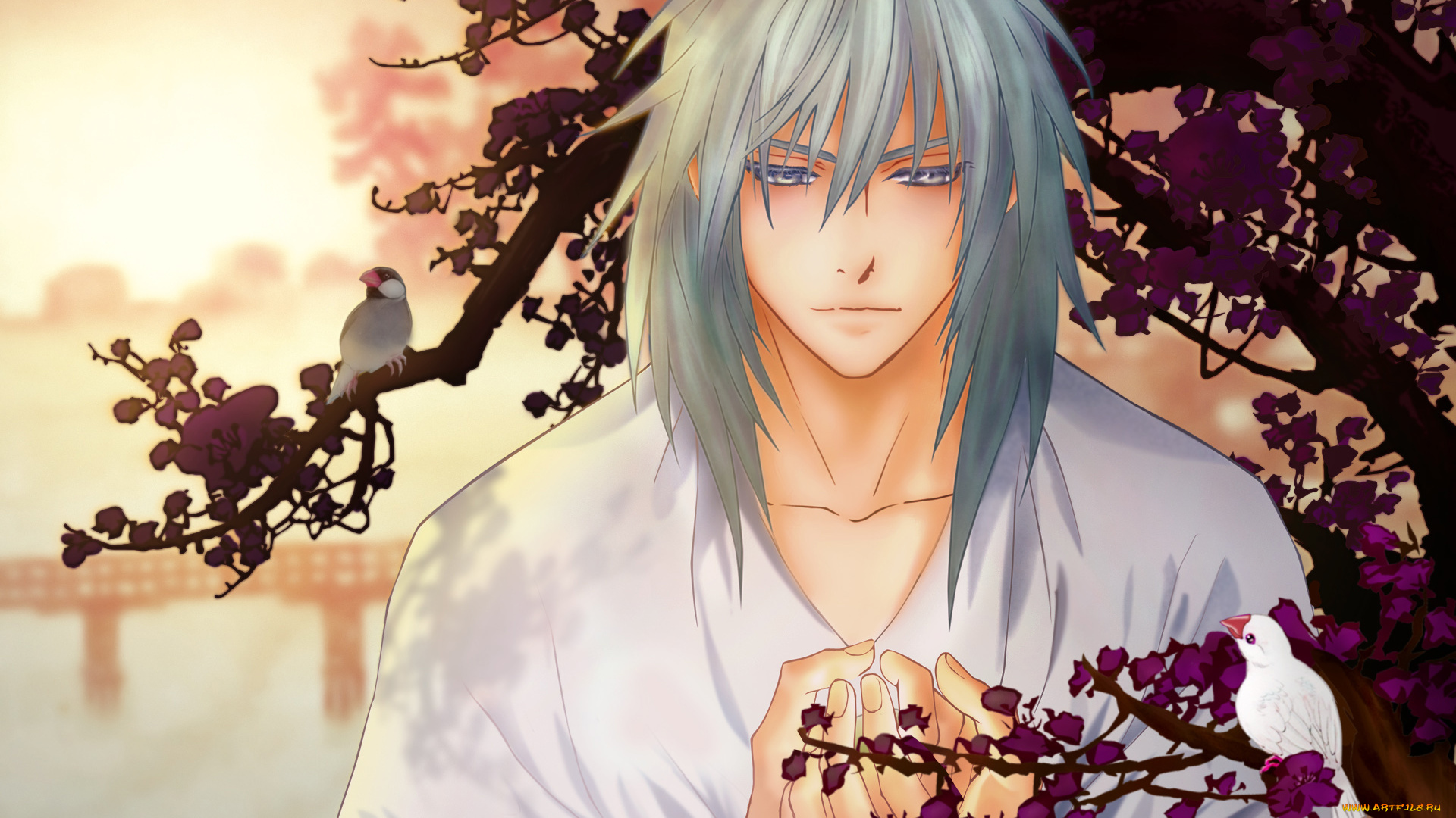 saiunkoku, monogatari, аниме, saiunkoko