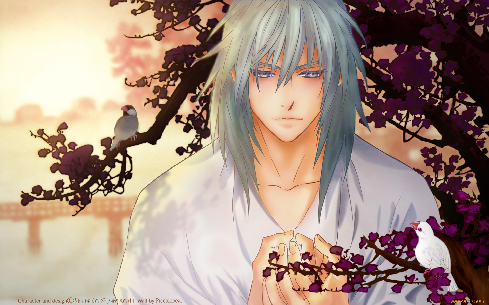 saiunkoku, monogatari, аниме, saiunkoko