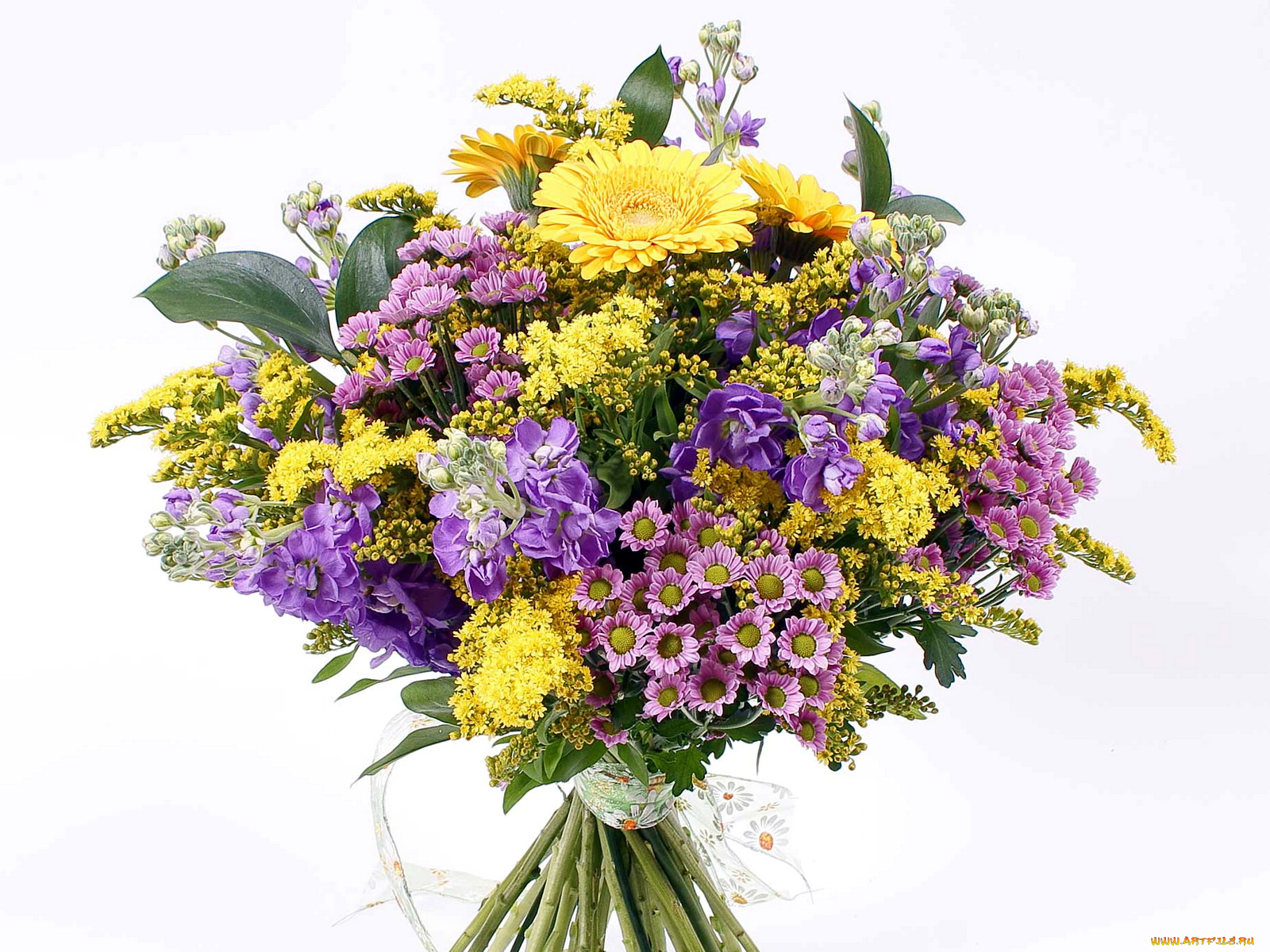 цветы, букеты, композиции, герберы, хризантемы
