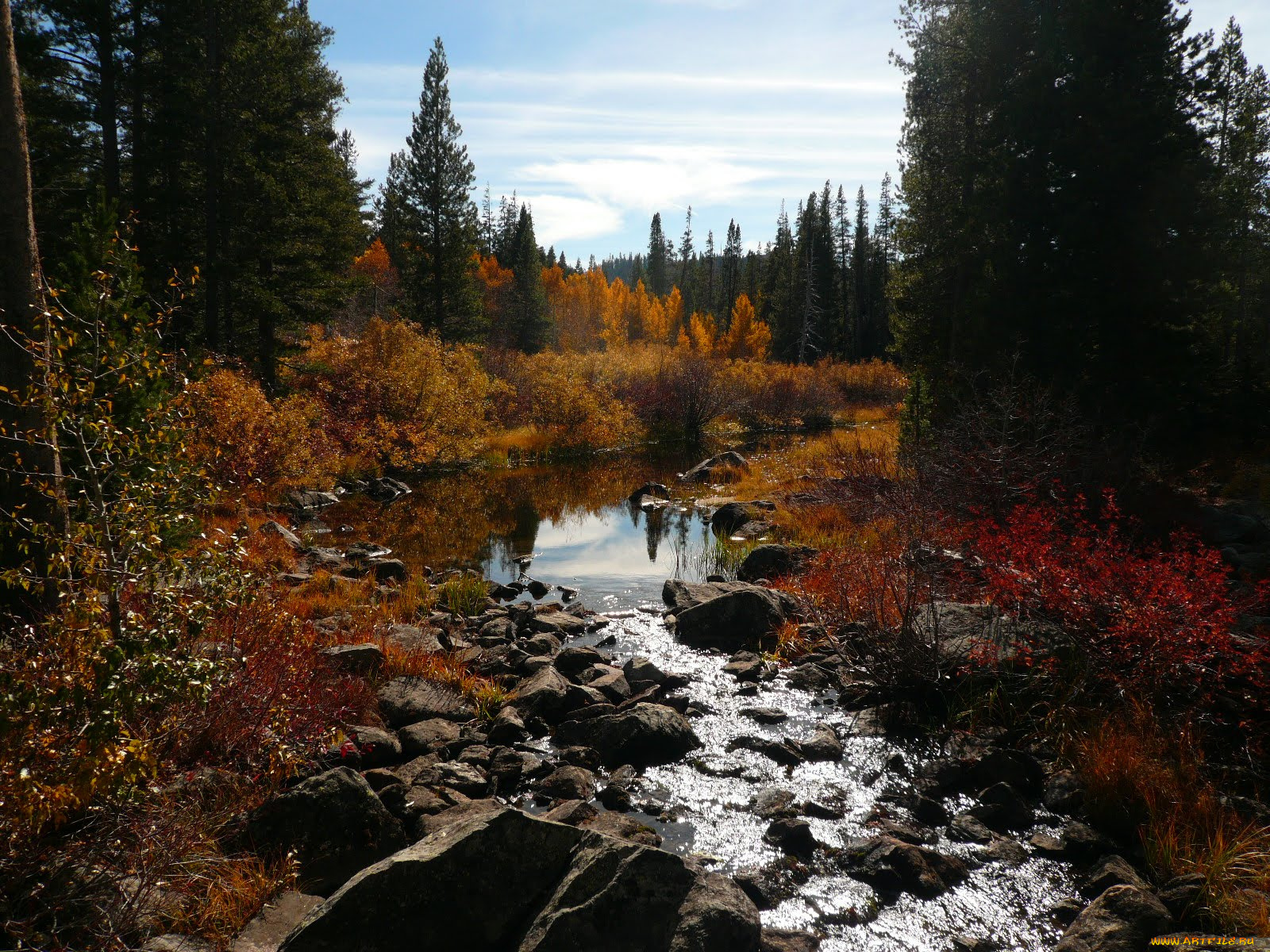 природа, реки, озера, лес