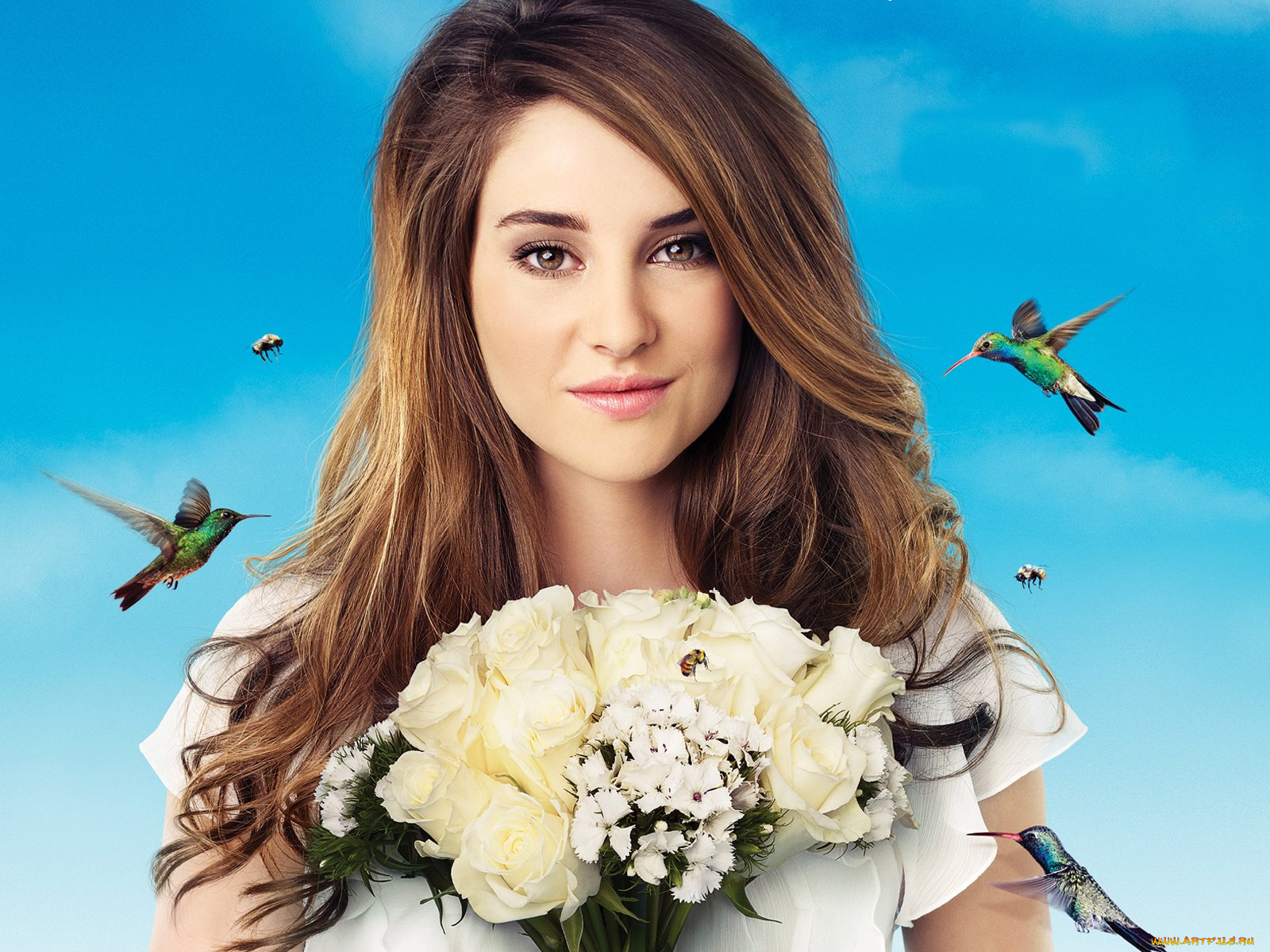 the, secret, life, of, american, teenager, кино, фильмы, shailene, woodley