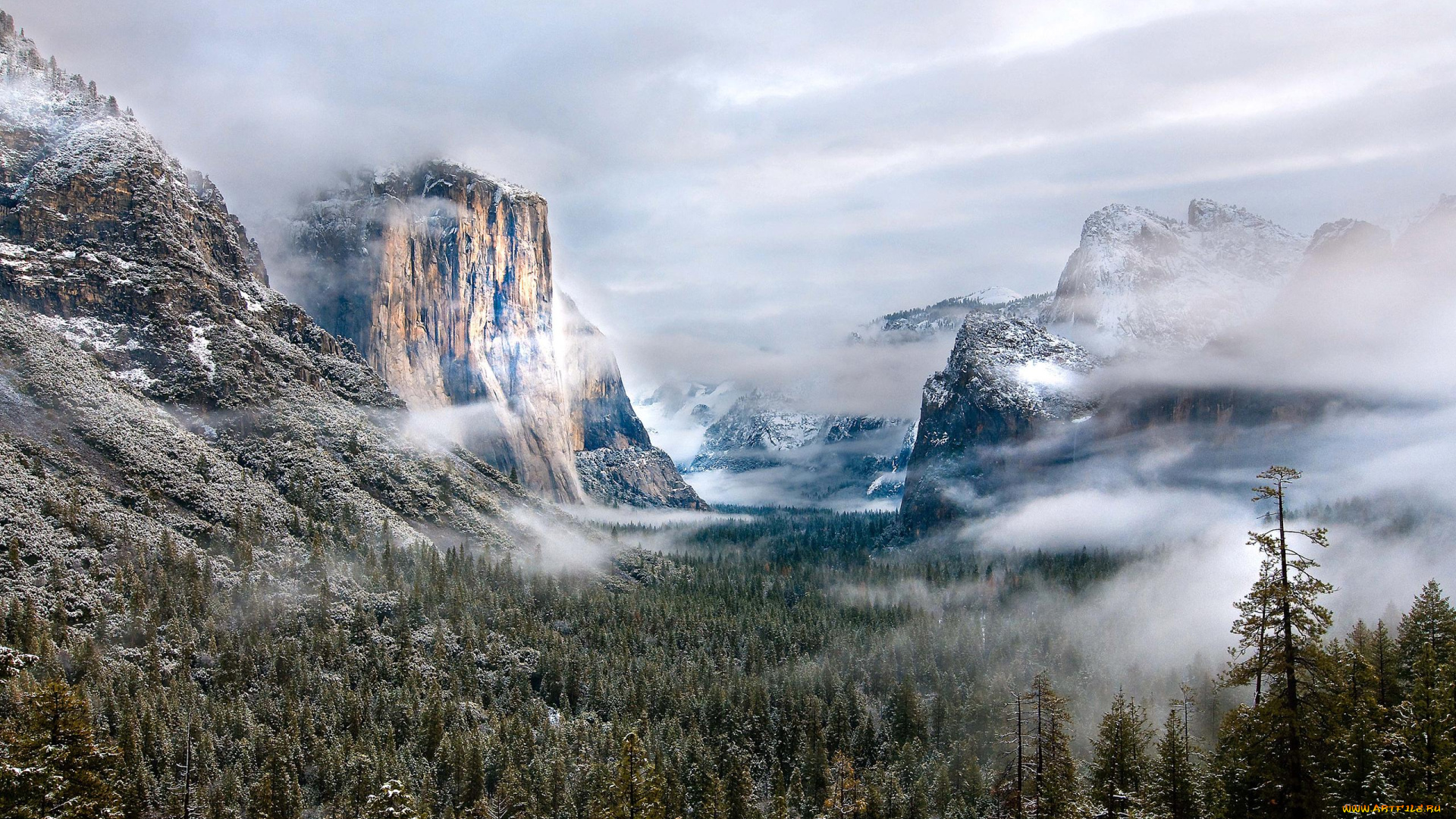 природа, горы, лес, зима