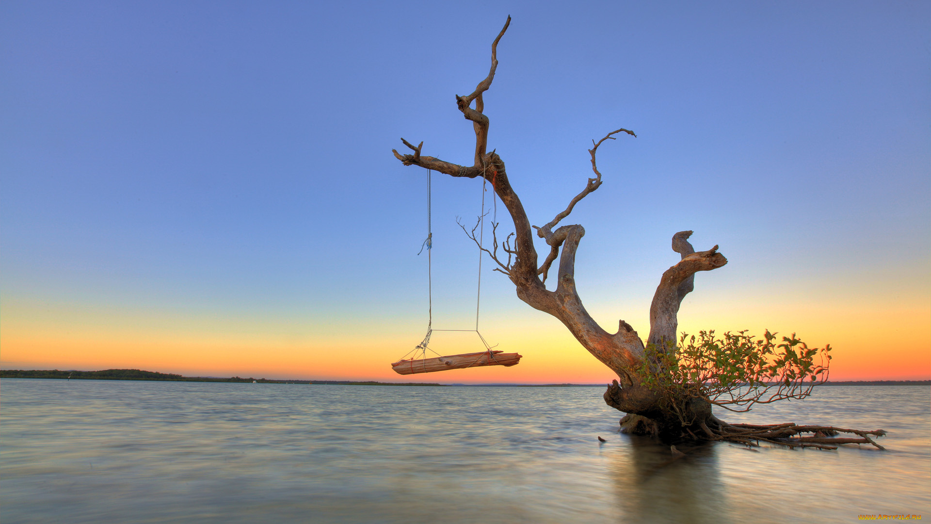 природа, реки, озера, озеро, дерево