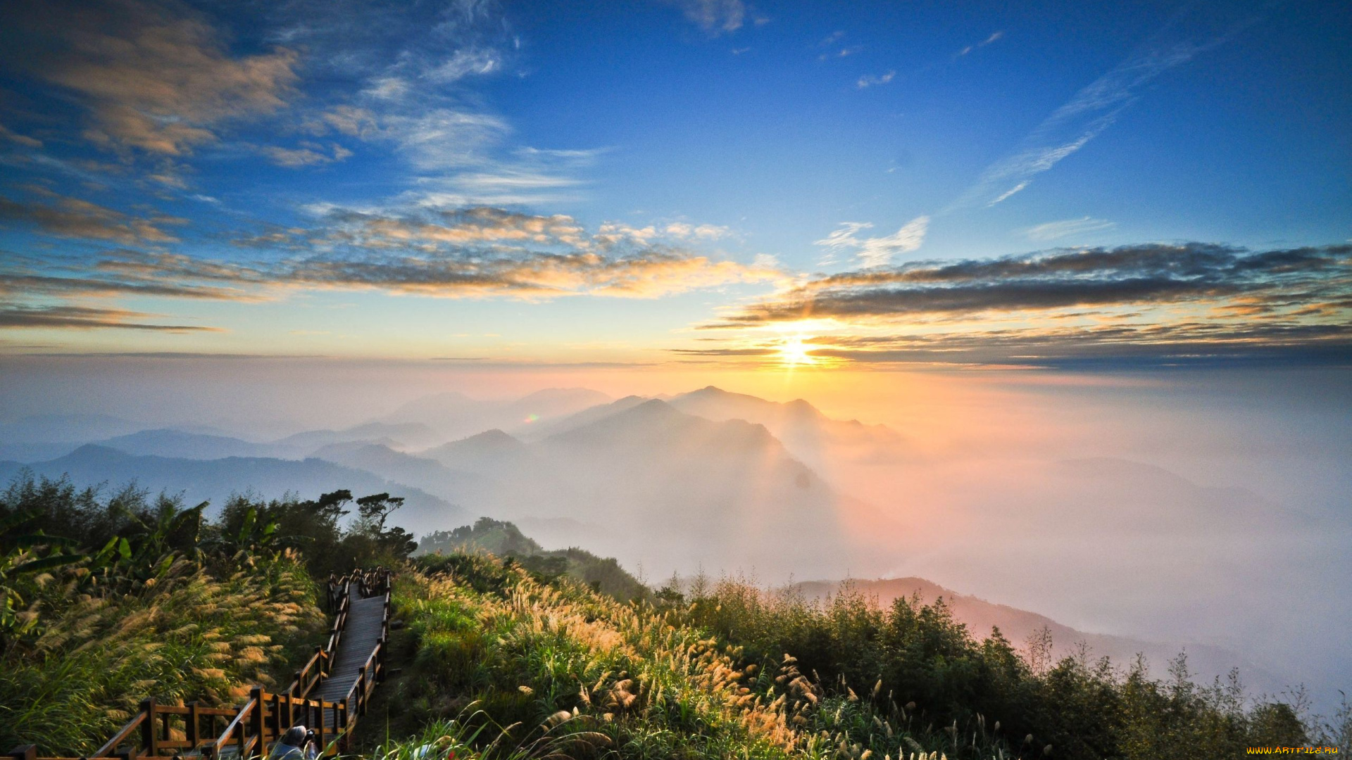 природа, восходы, закаты, восход, утро, пейзаж, лестница