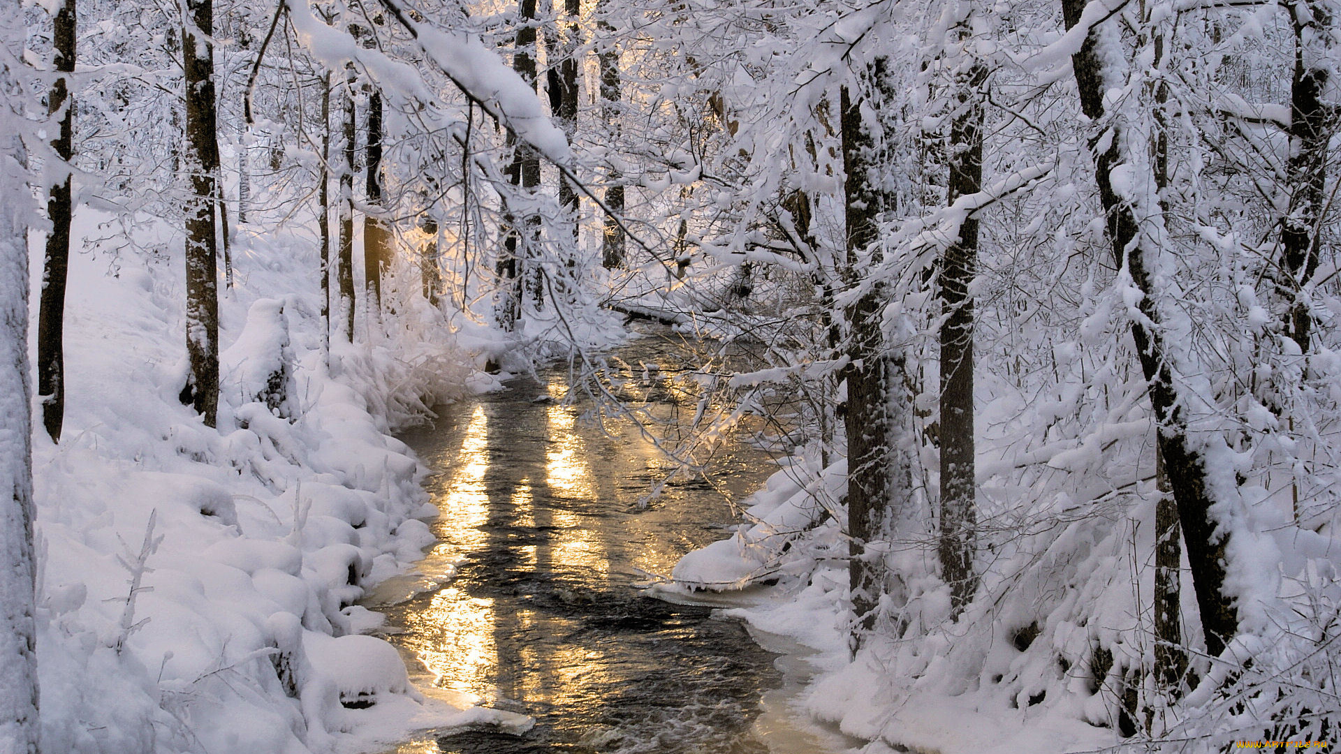 природа, зима, снег, лес, деревья