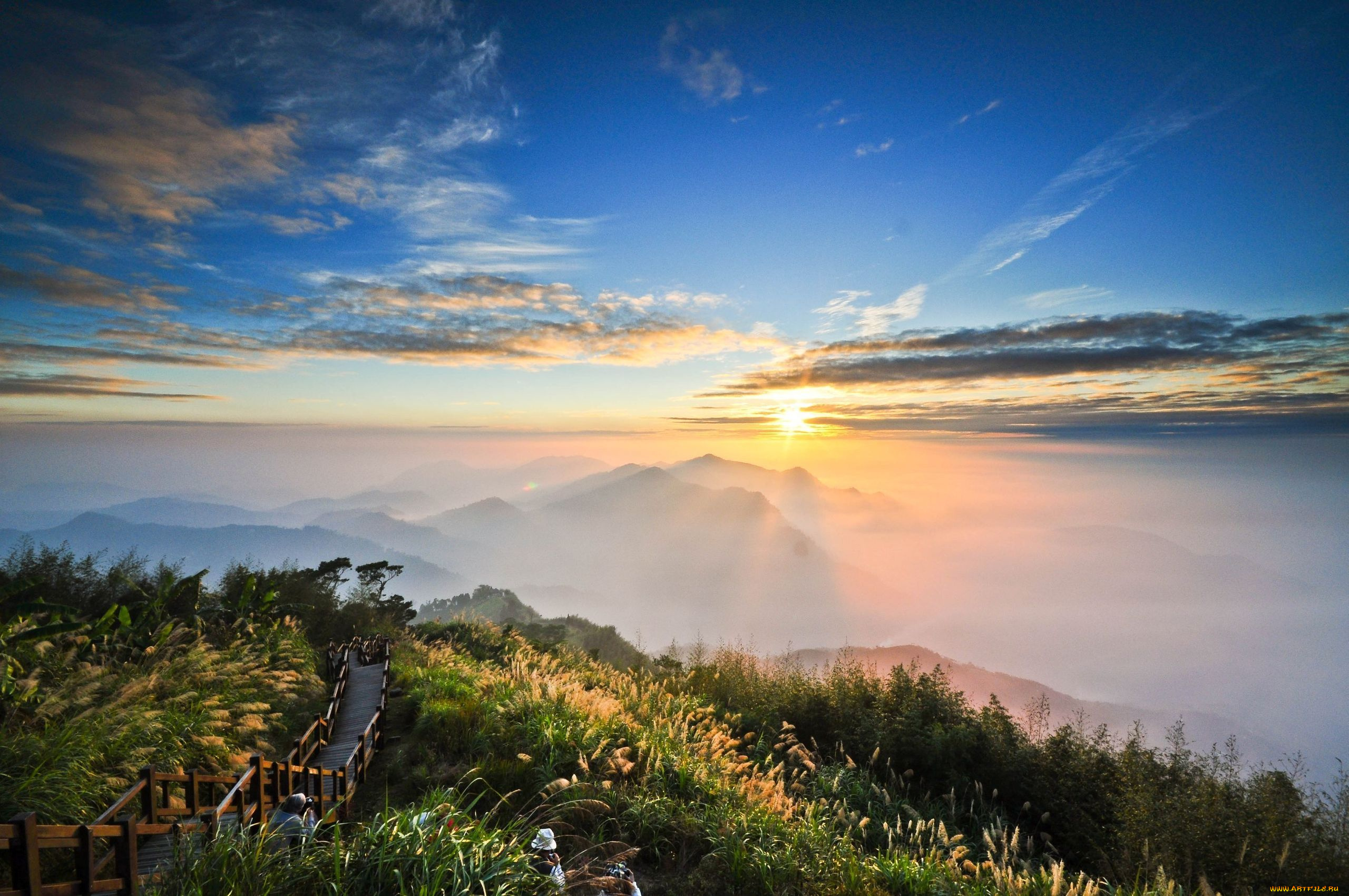 природа, восходы, закаты, восход, утро, пейзаж, лестница