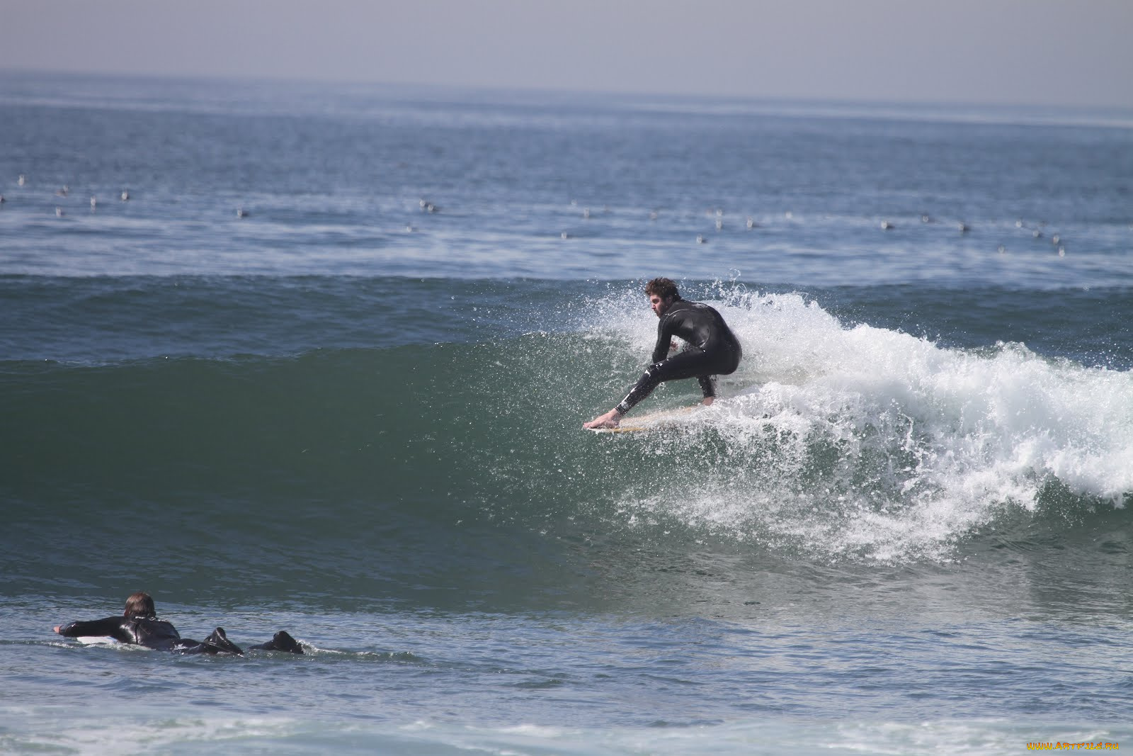 спорт, серфинг, волна