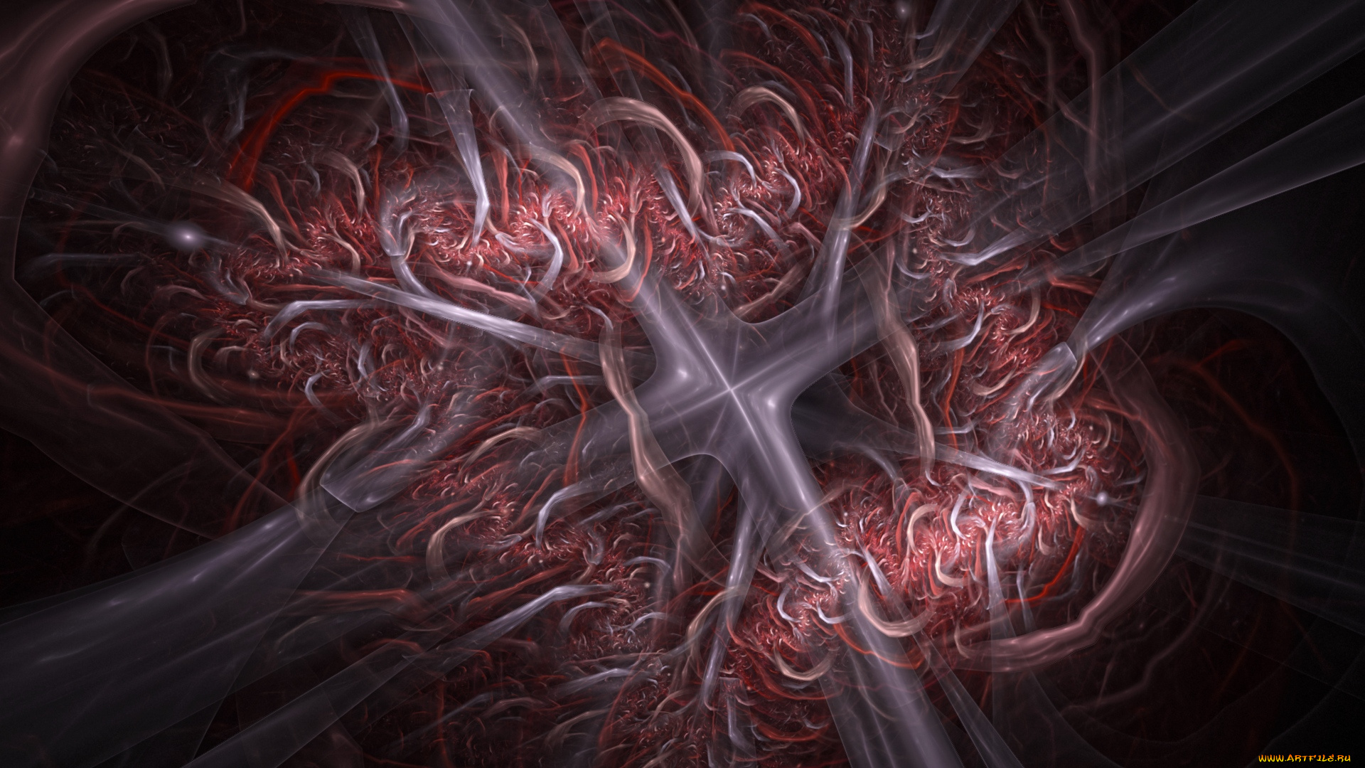 3д, графика, fractal, фракталы, изгибы, линии, фон, узор, цвета